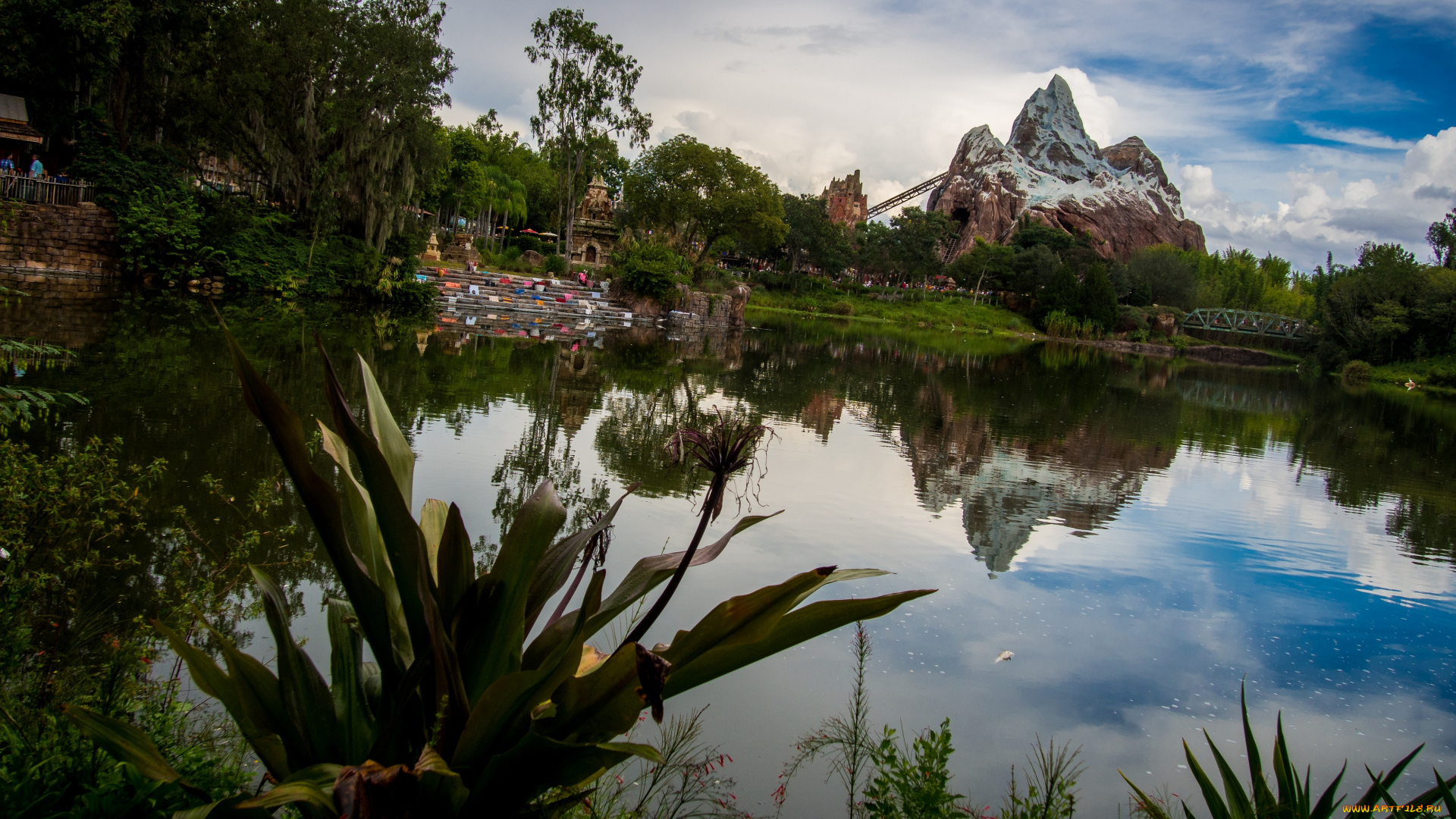 природа, парк, animal, kingdom