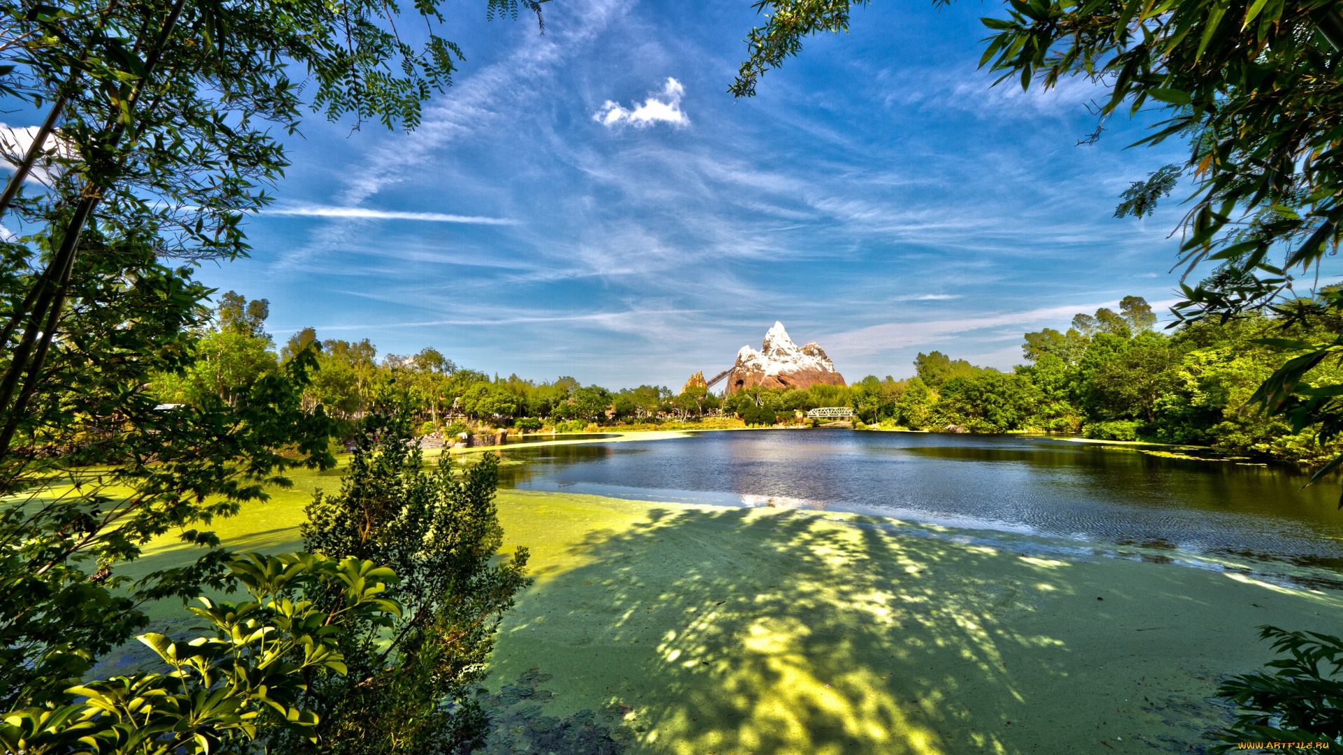 природа, парк, animal, kingdom