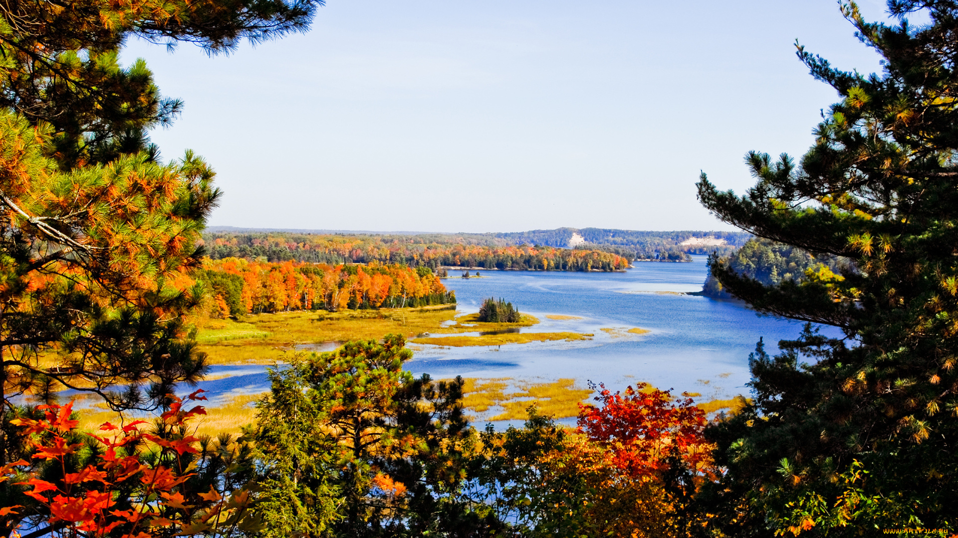 природа, реки, озера, листва