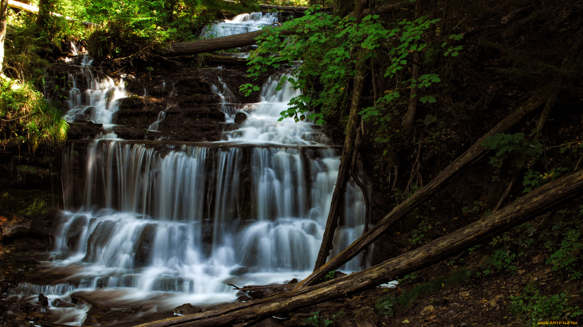 природа, водопады, бревна