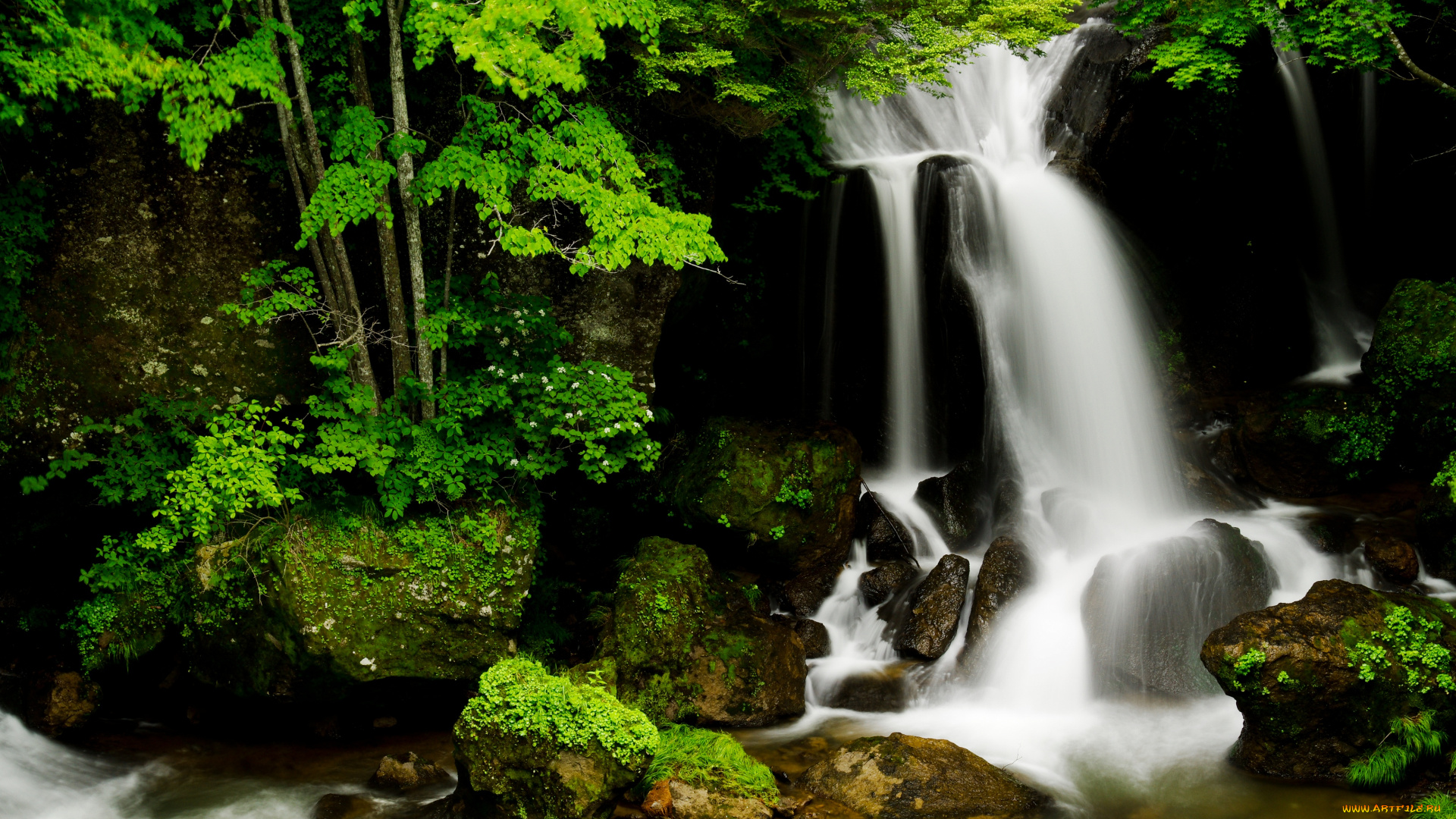природа, водопады, поток, лес, вода, зелень, камни