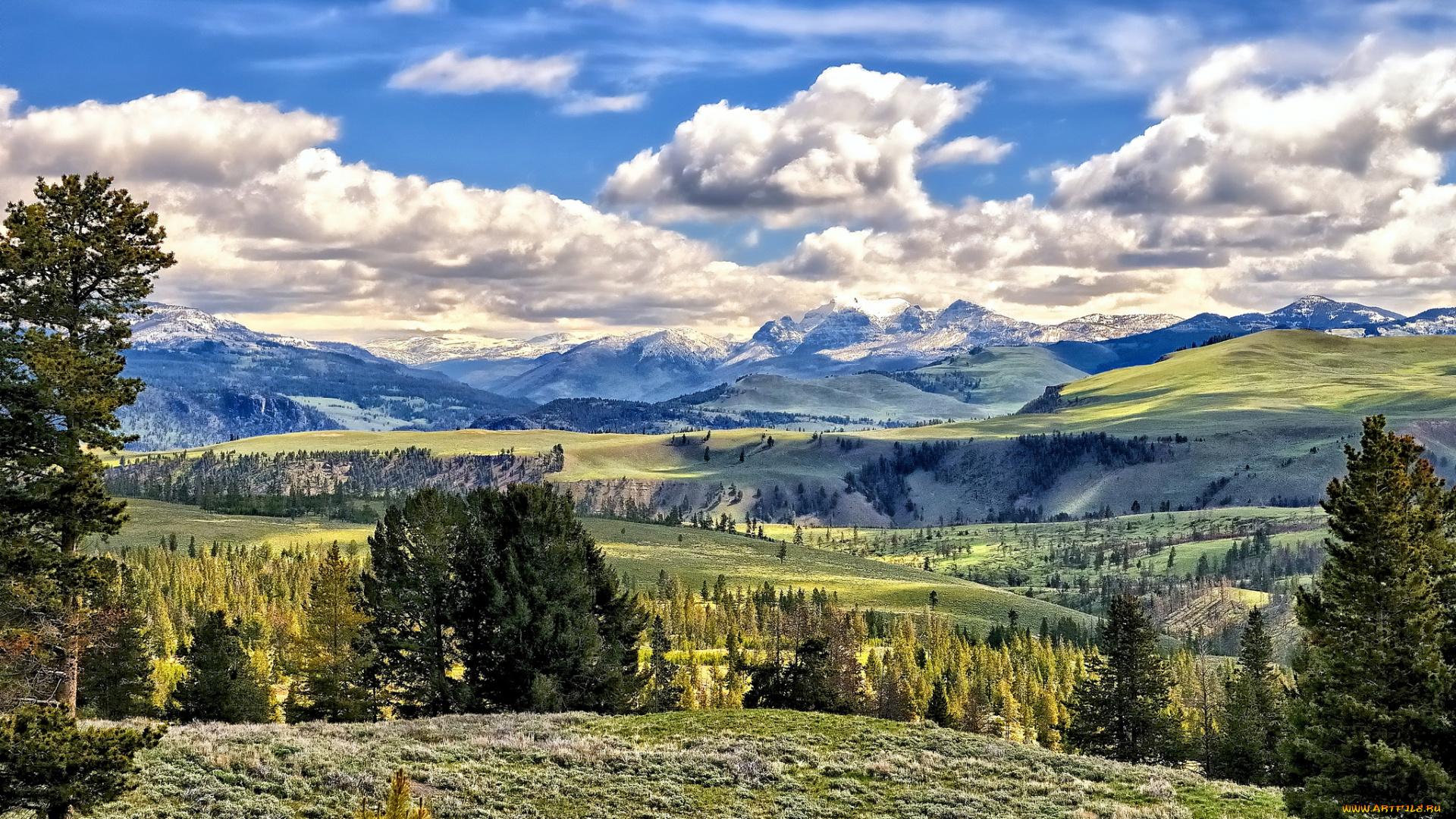 yellowstone, national, park, wtyoming, природа, пейзажи, горы, вайоминг, деревья, йеллоустон, луга