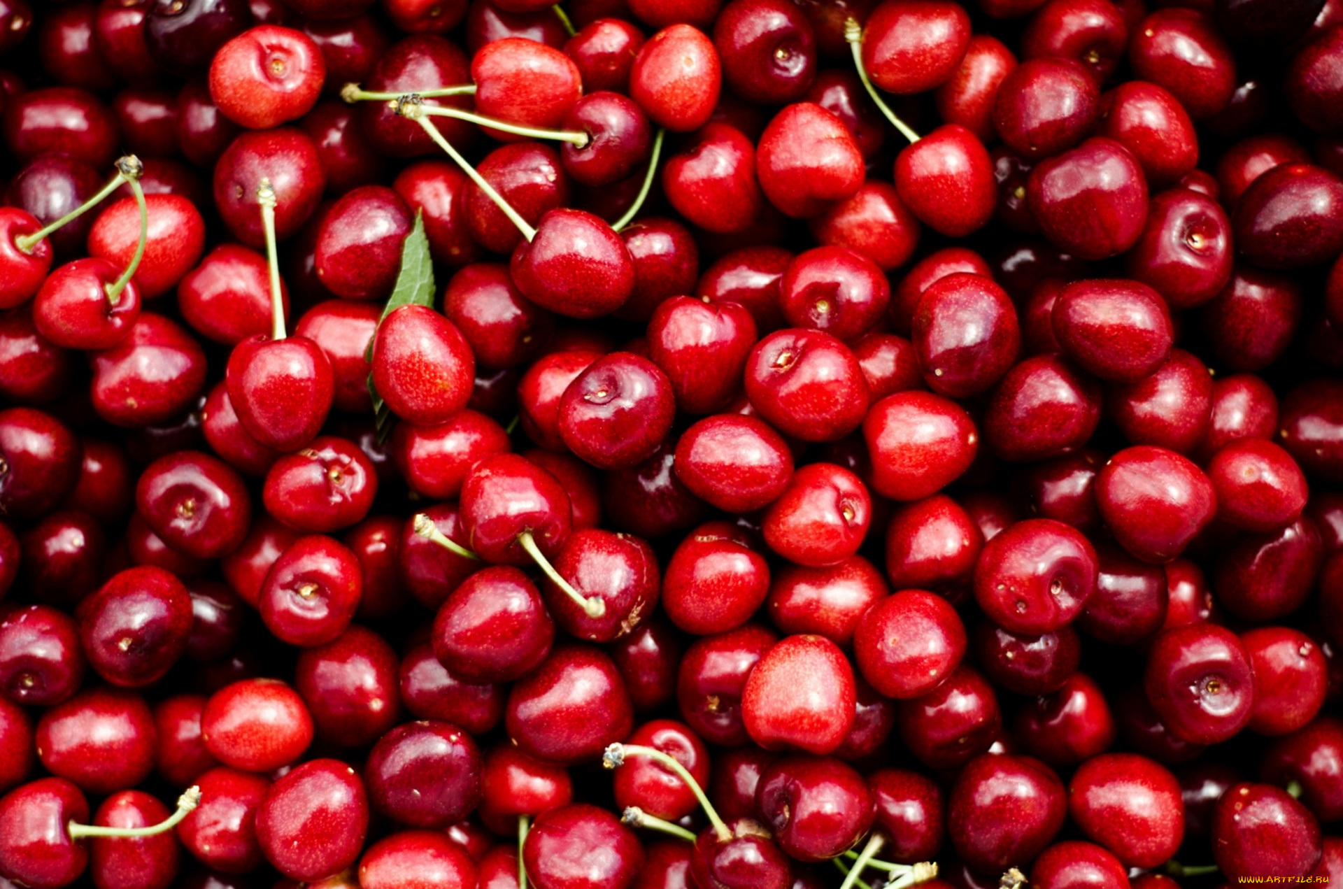 еда, вишня, черешня, красный, много