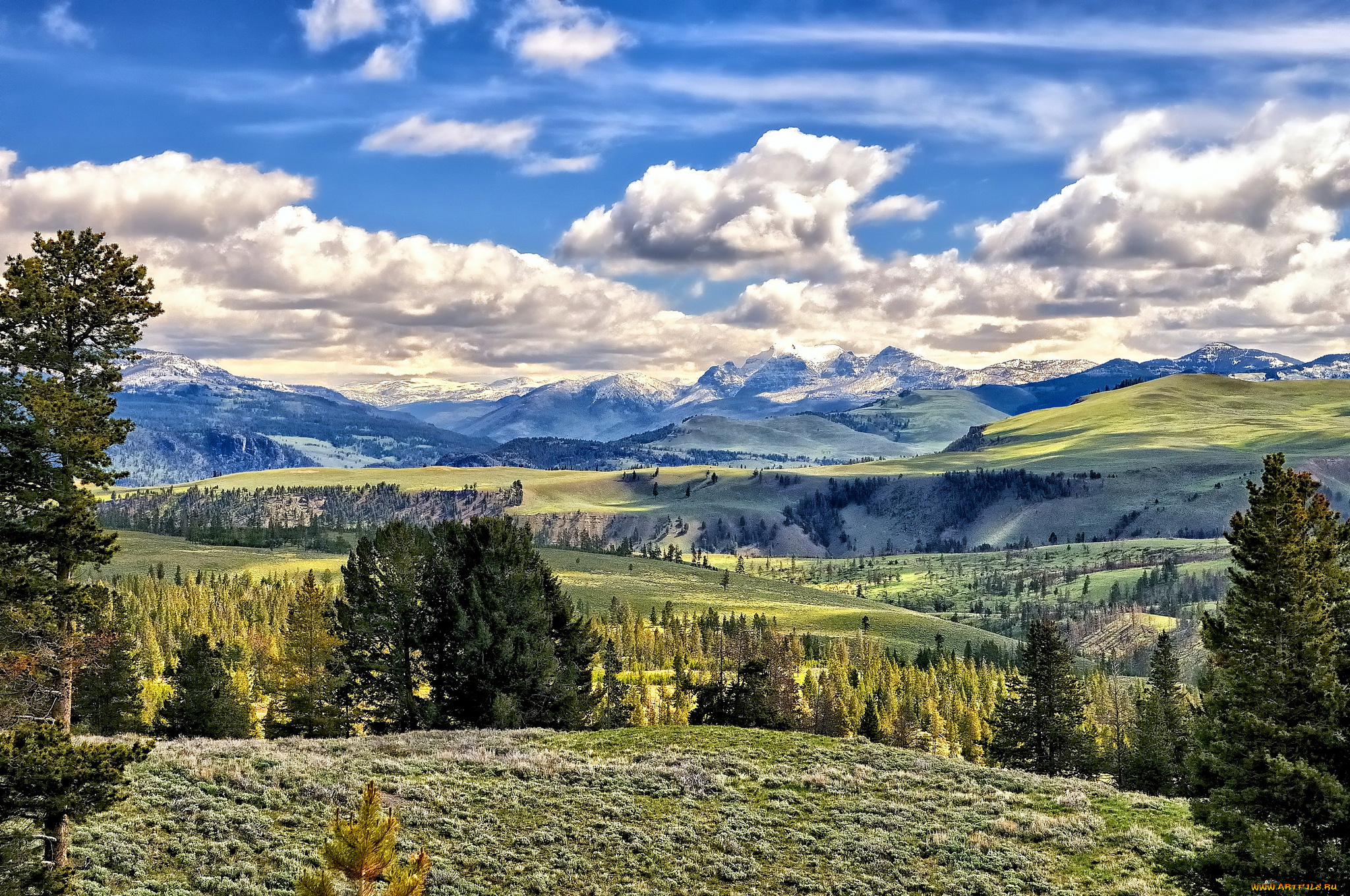 yellowstone, national, park, wtyoming, природа, пейзажи, горы, вайоминг, деревья, йеллоустон, луга