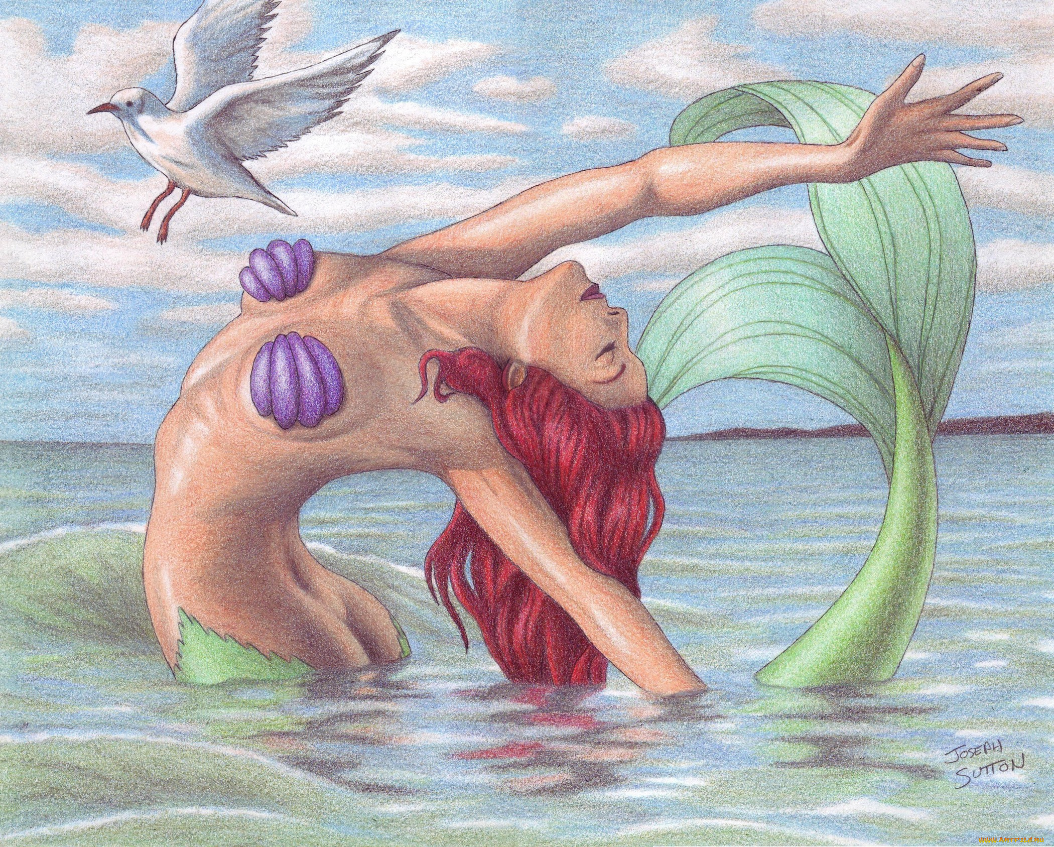 рисованные, другое, ариэль, русалочка, фан-арт