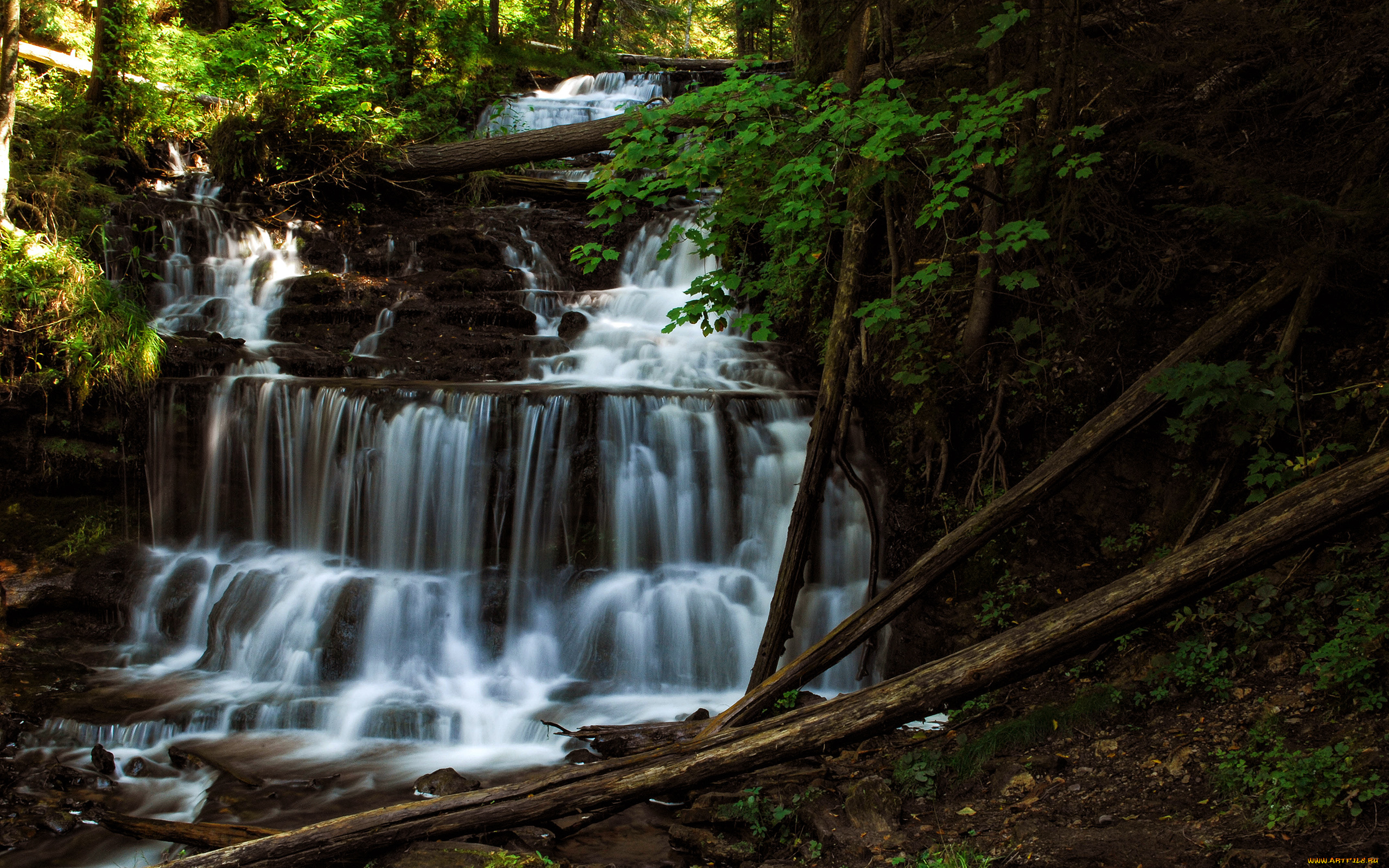 природа, водопады, бревна