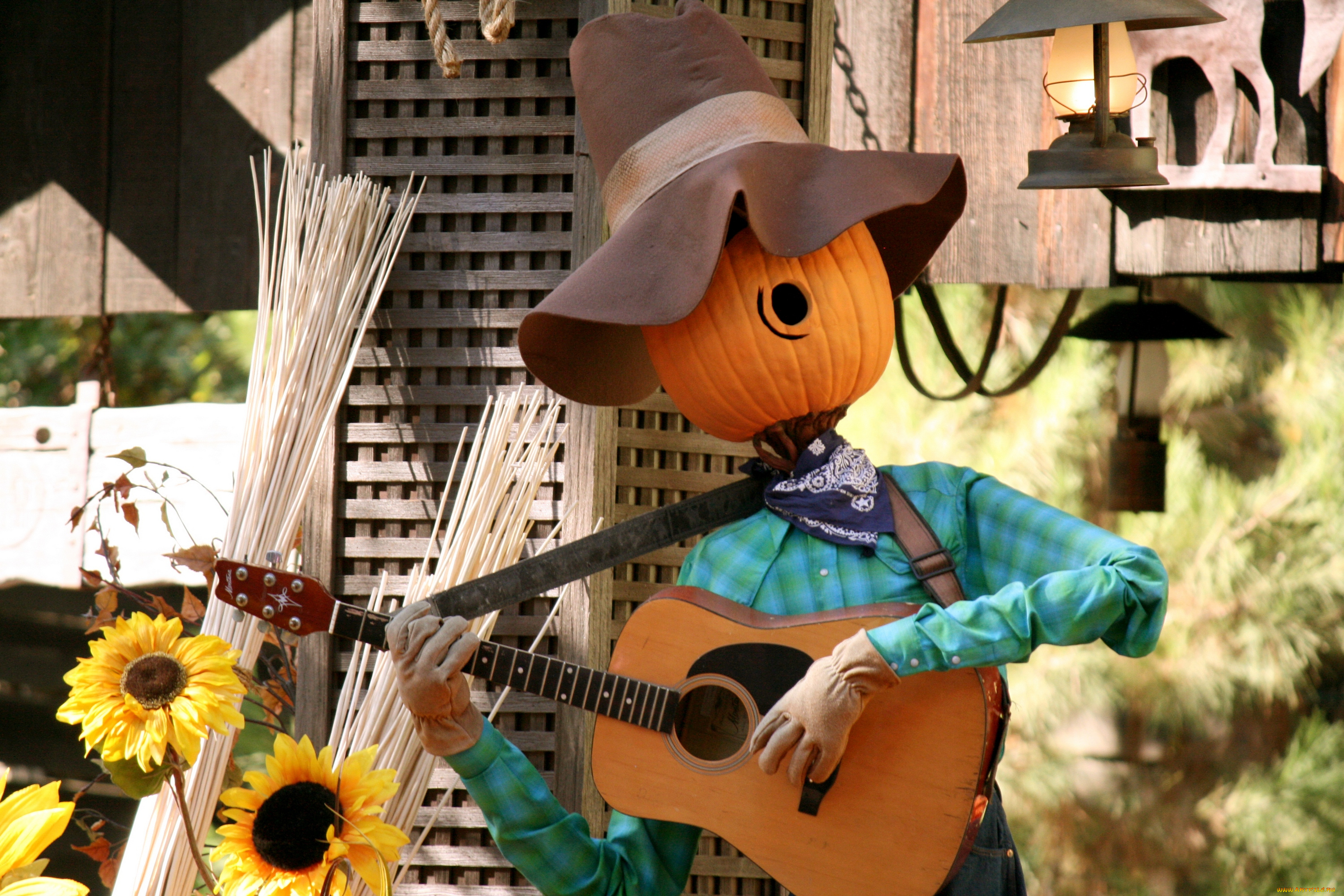 праздничные, хэллоуин, гитарист