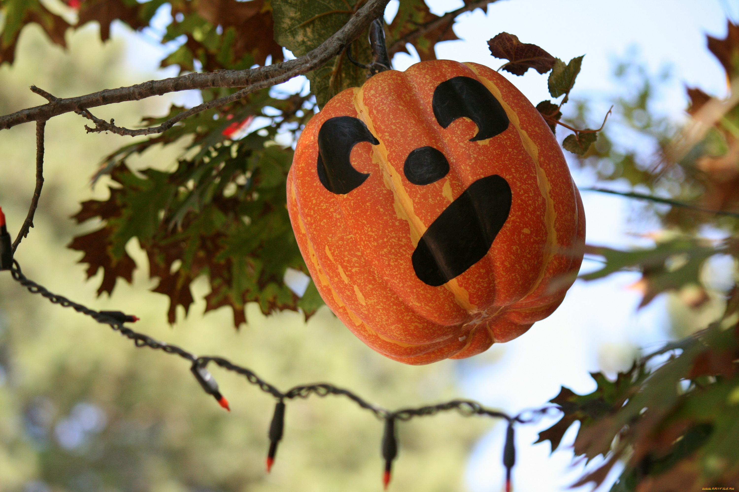 праздничные, хэллоуин, тыква