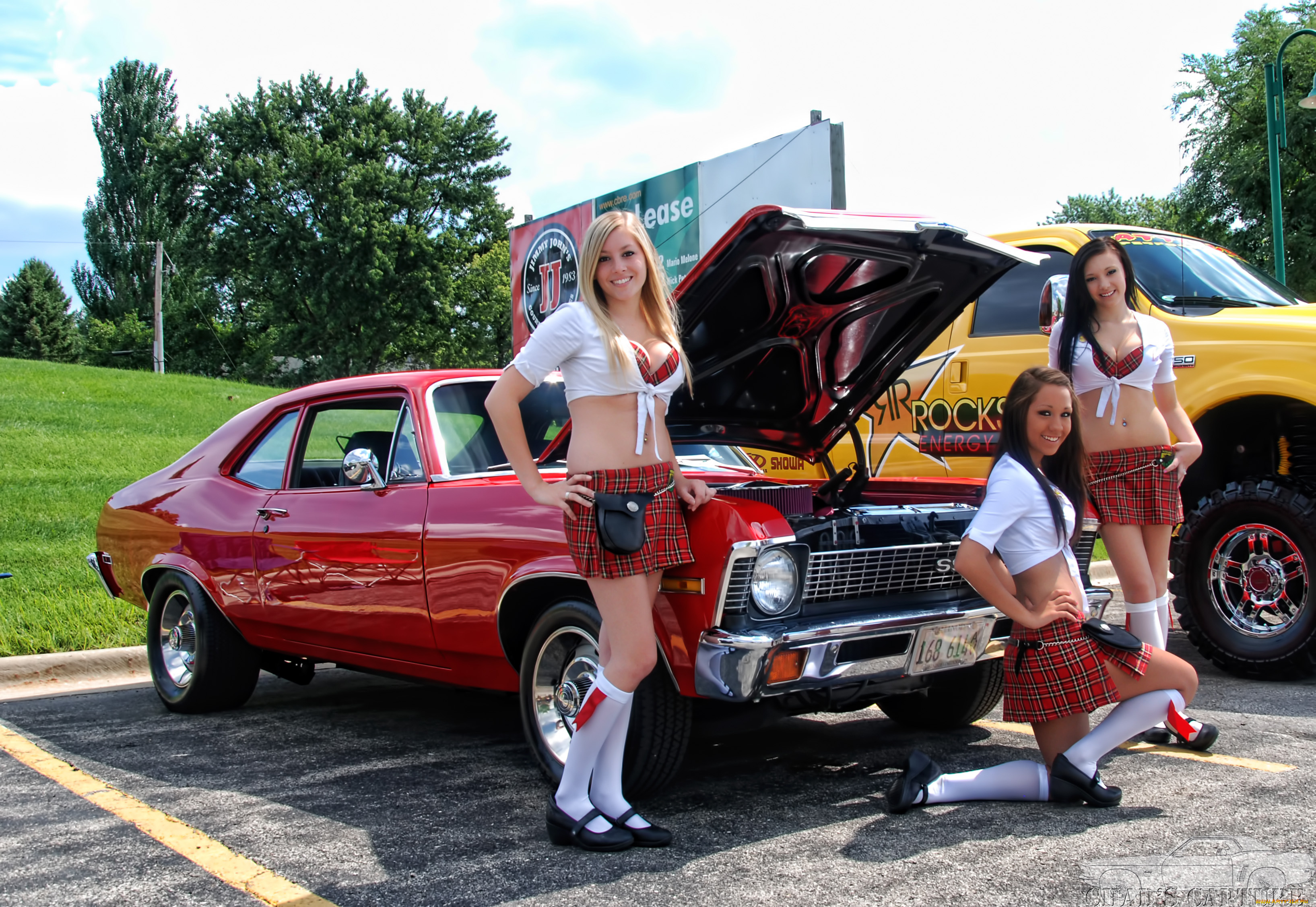 автомобили, авто, девушками, reef