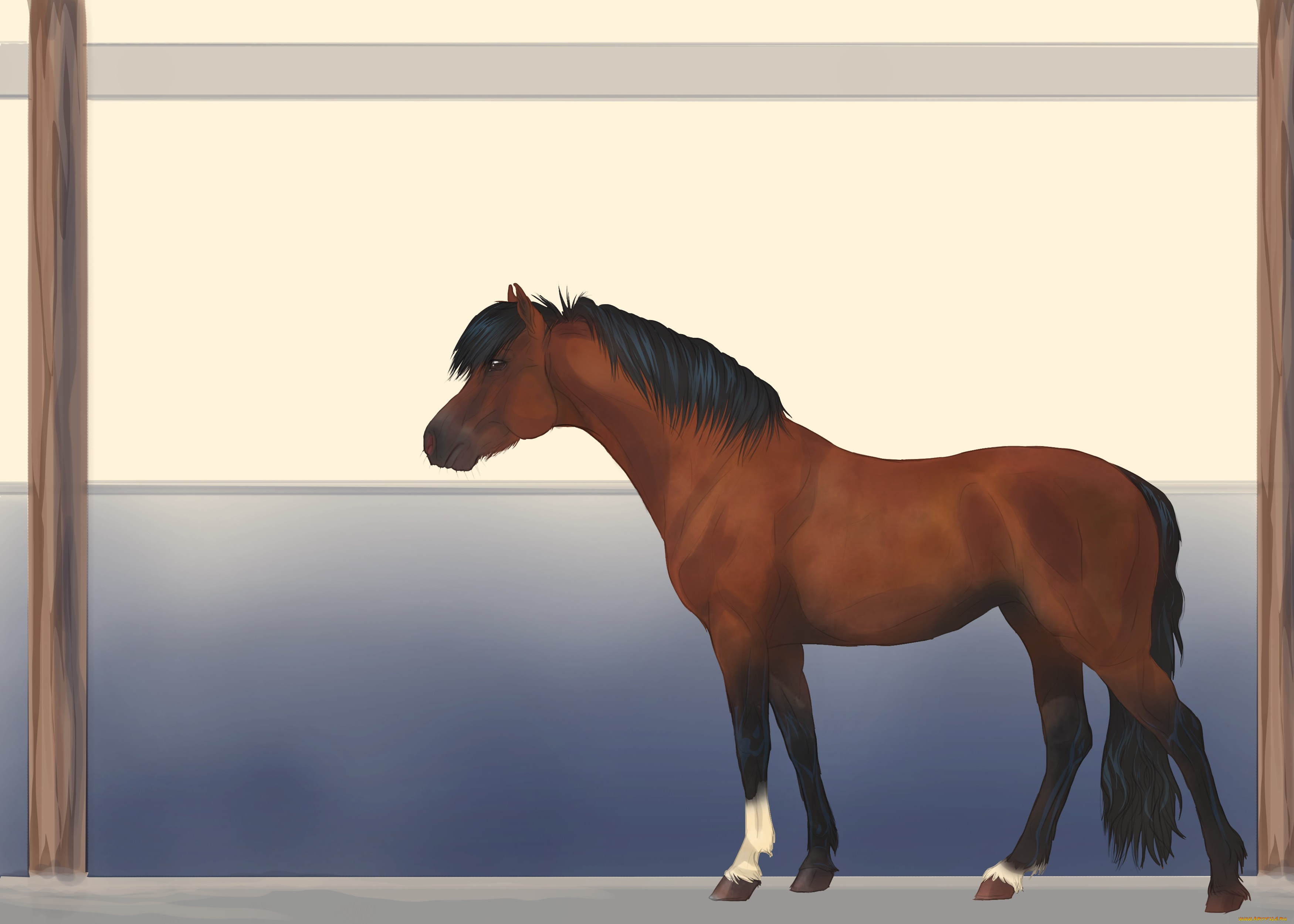 рисованные, животные, лошади, лошадь