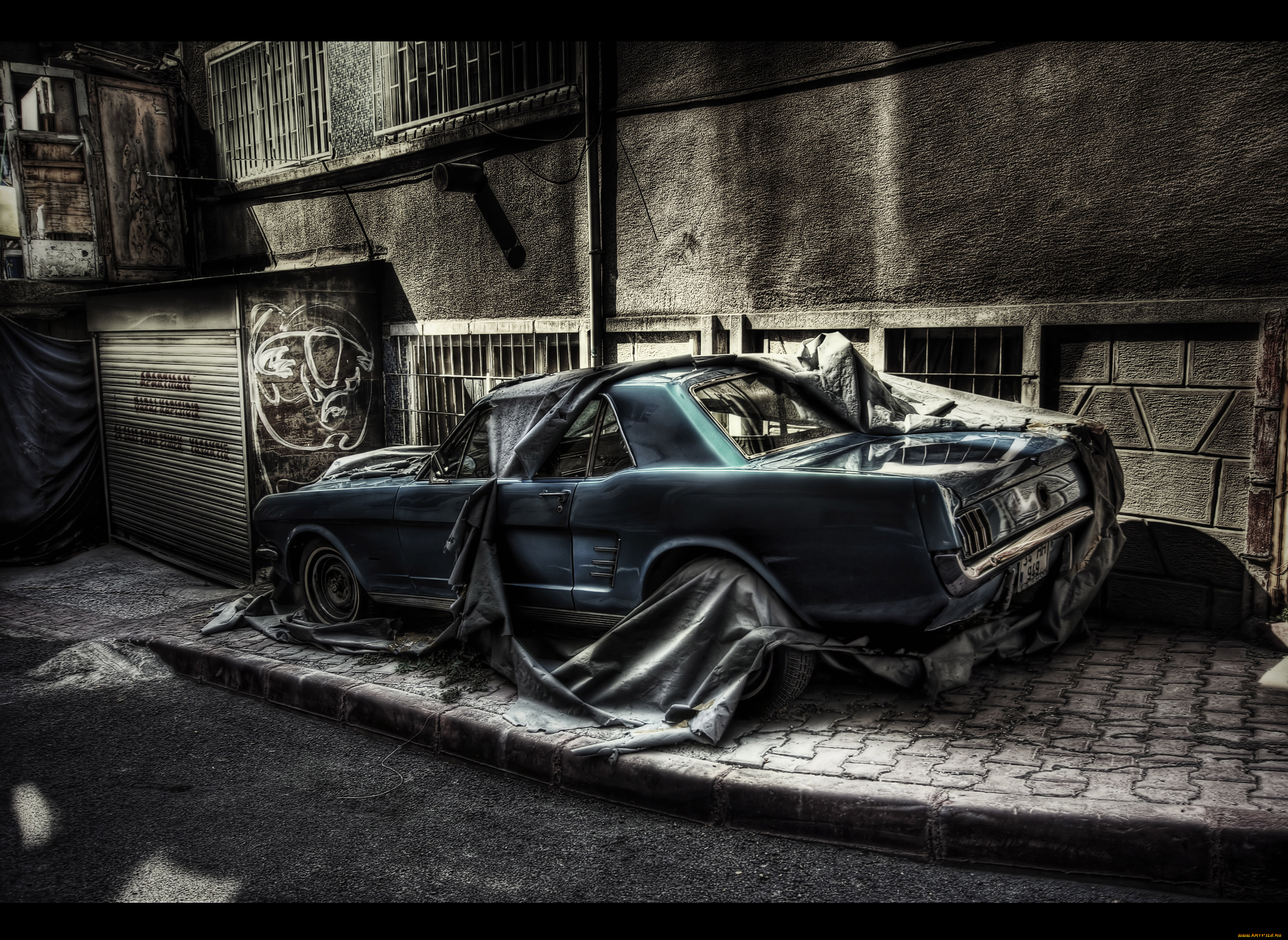 автомобили, mustang