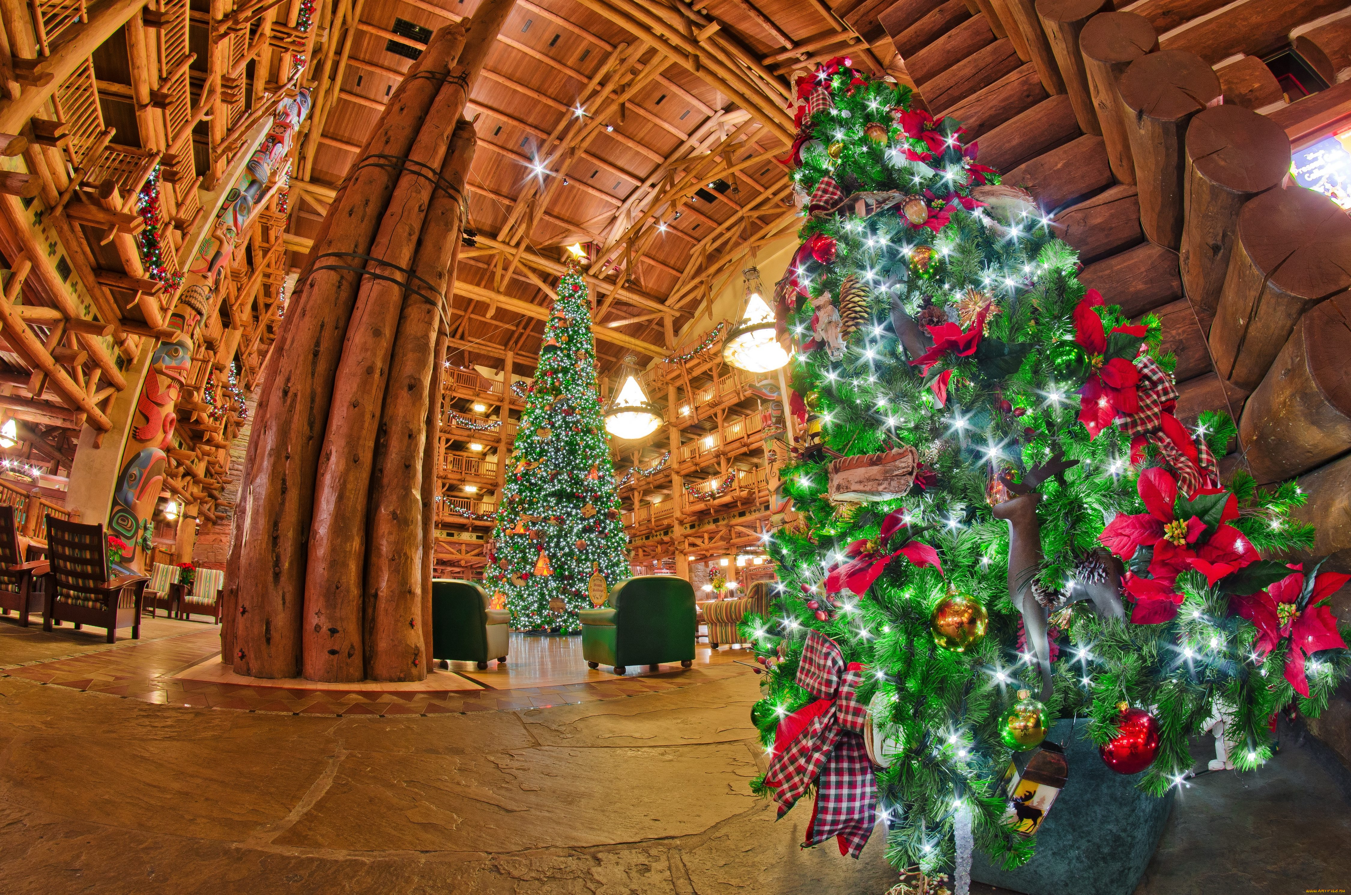 праздничные, Ёлки, hdr