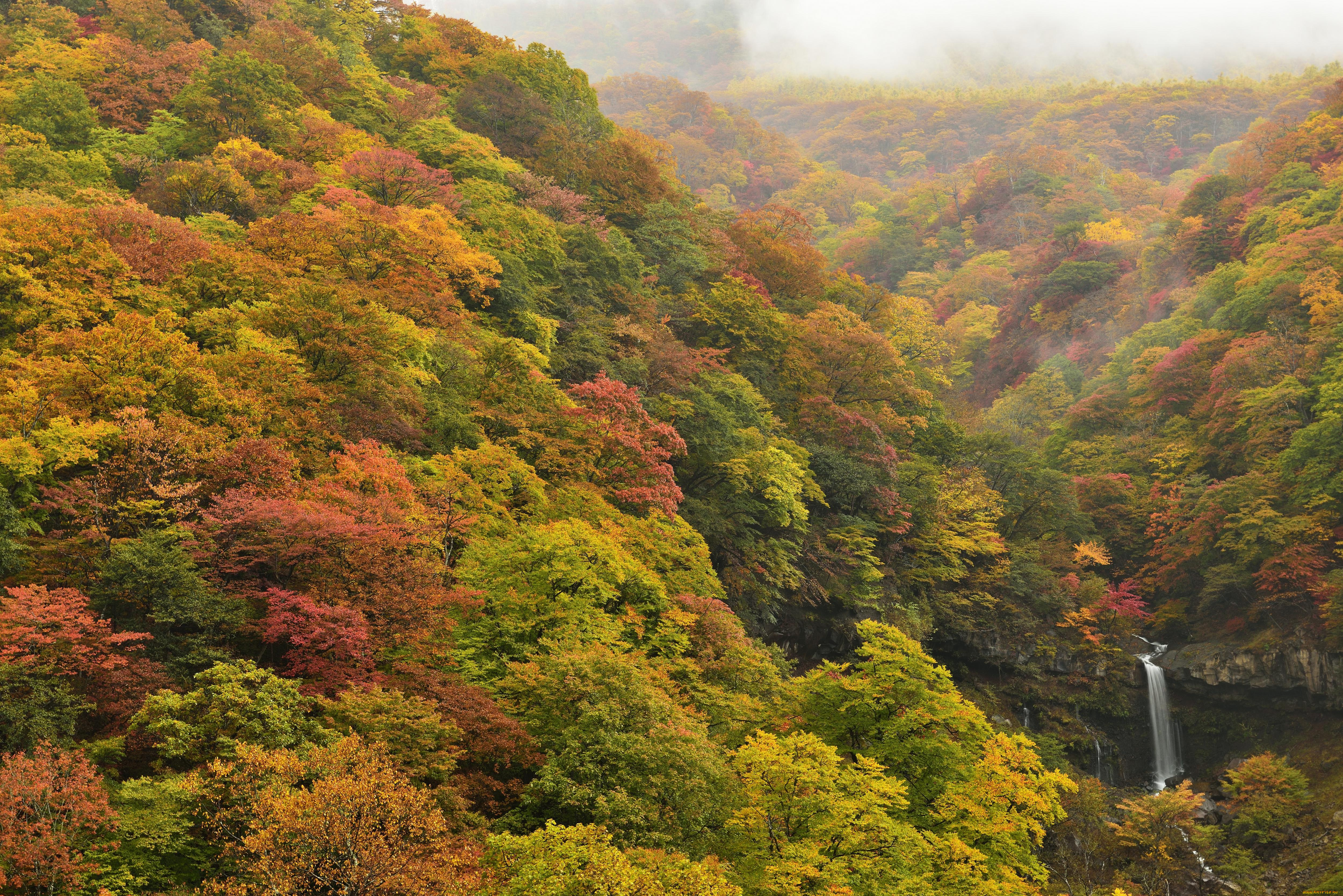природа, водопады, осень