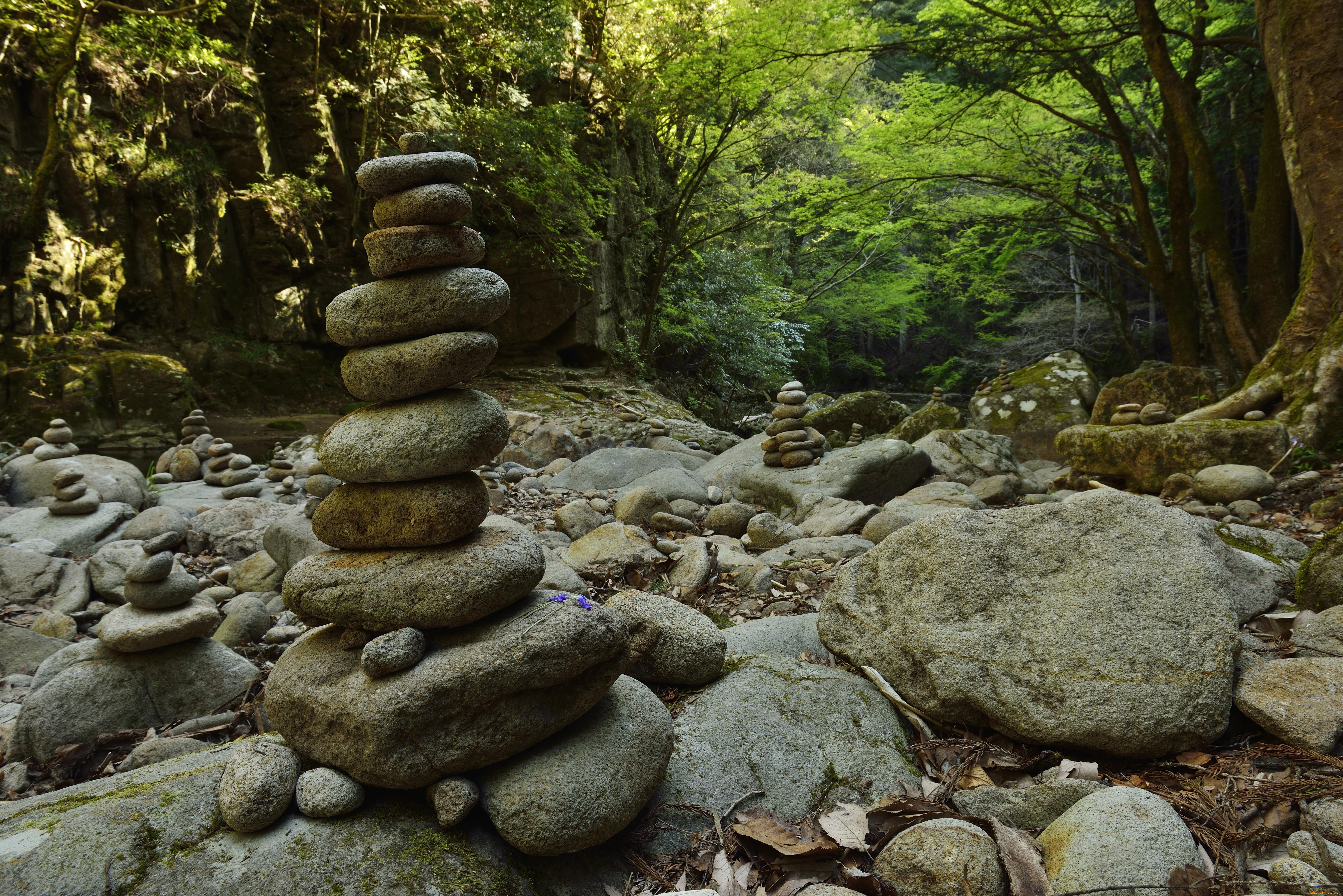 природа, камни, минералы, лес