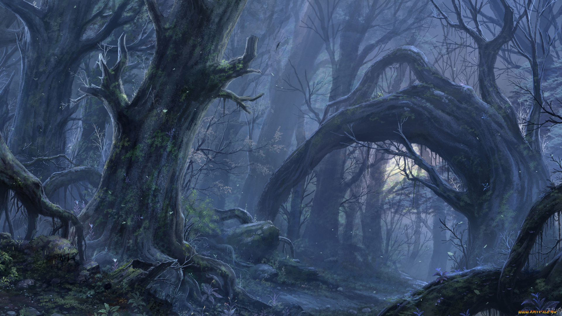 фэнтези, пейзажи, деревья, ночь, сумерки, дремучий, лес