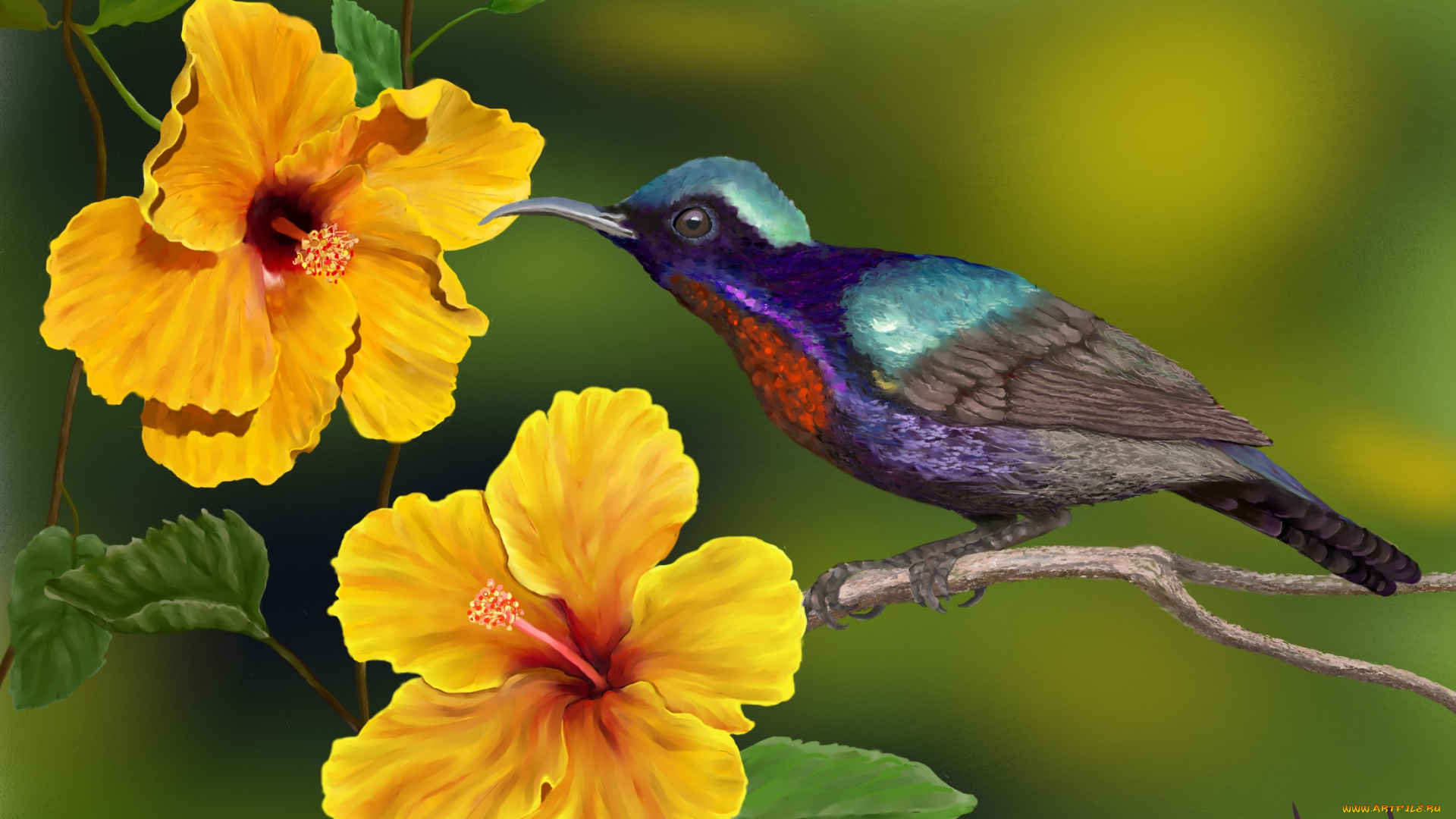 рисованные, животные, , птицы, цветы, колибри