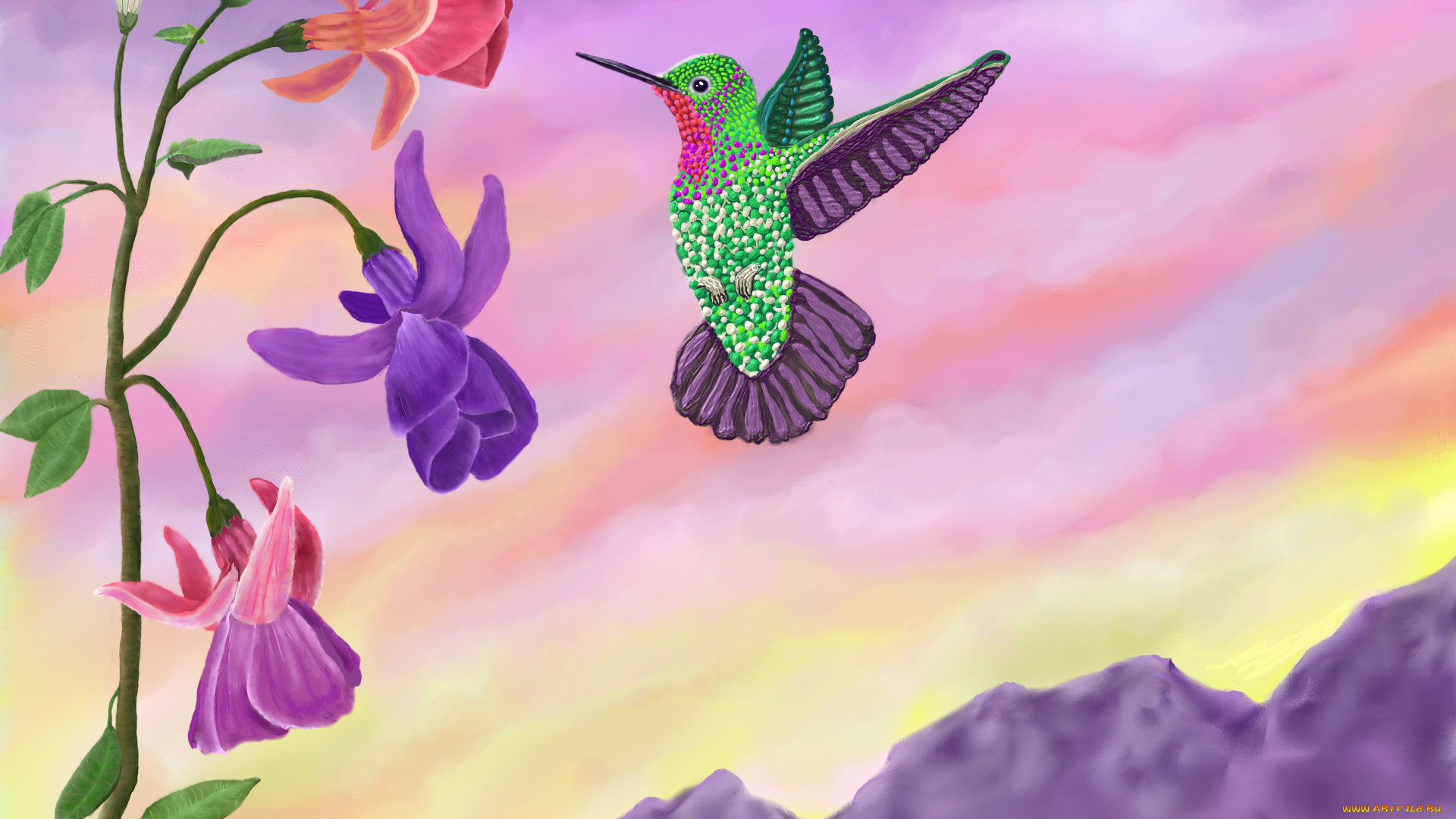 рисованные, животные, , птицы, колибри, цветы