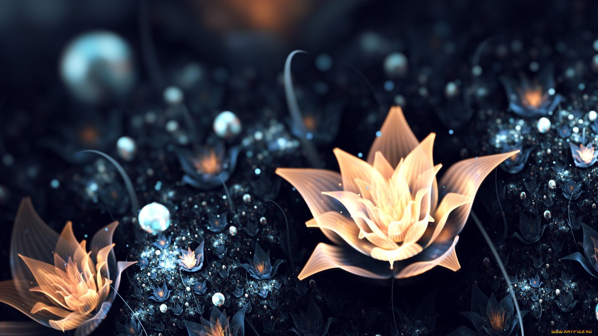 3д, графика, цветы, , flowers, свет, абстракция, поляна, цветы