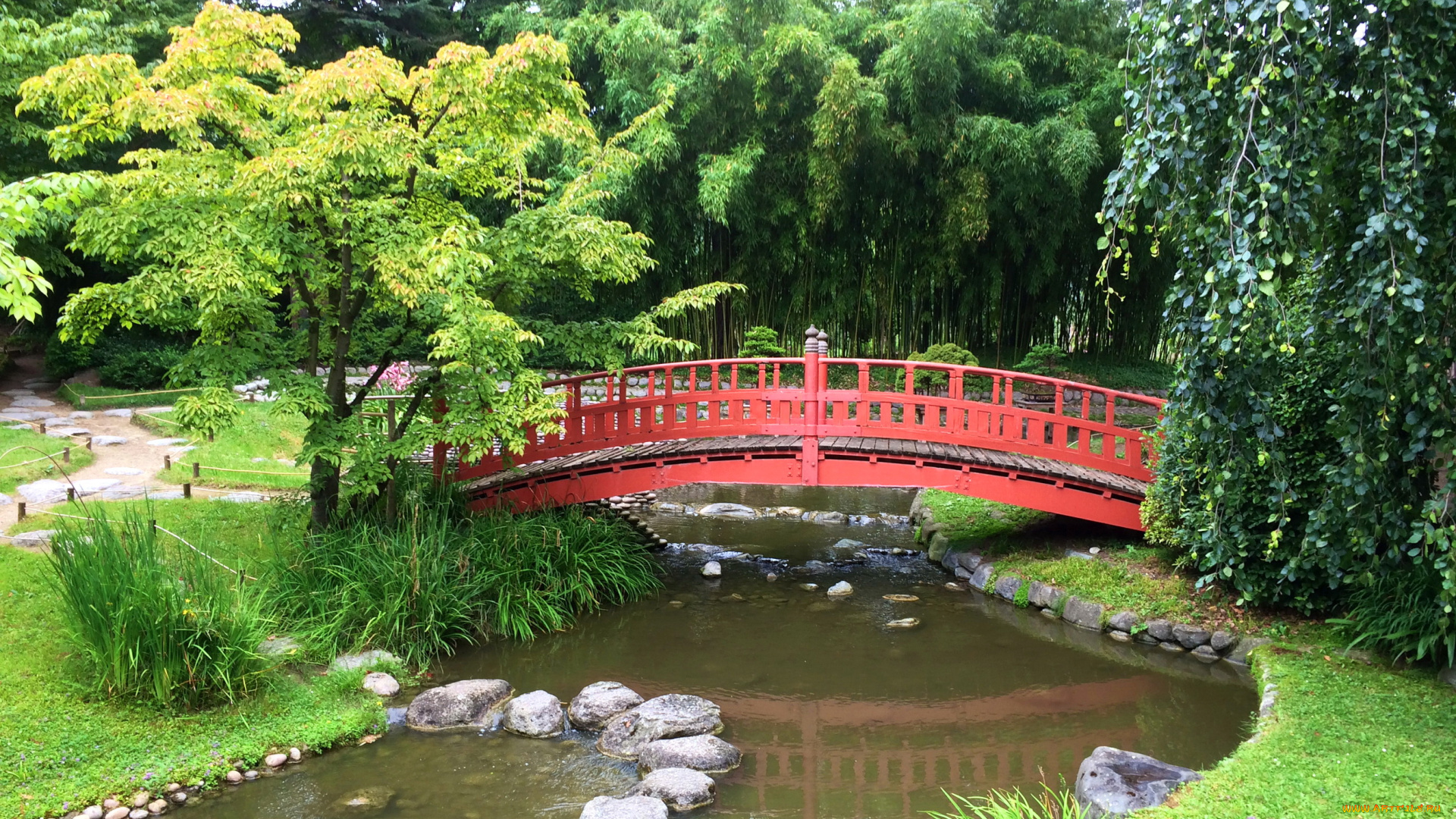 albert-kahn, japanese, gardens, природа, парк, сад, париж, река, мост, деревья, кусты, камни
