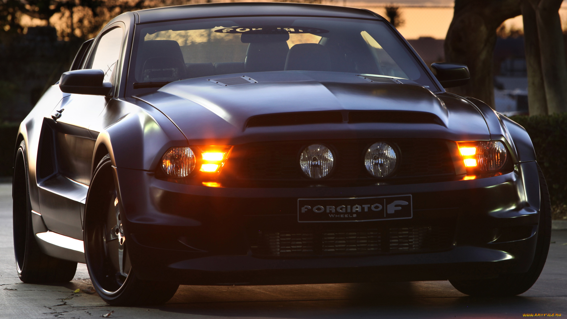 автомобили, mustang