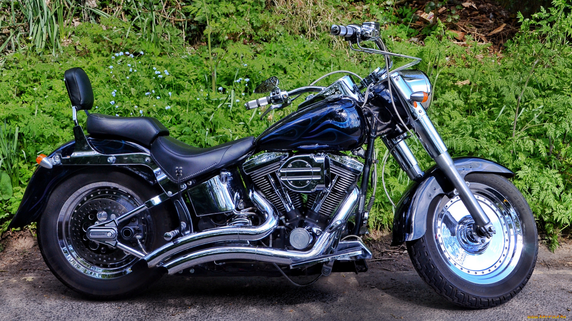 harley, мотоциклы, harley-davidson, байк