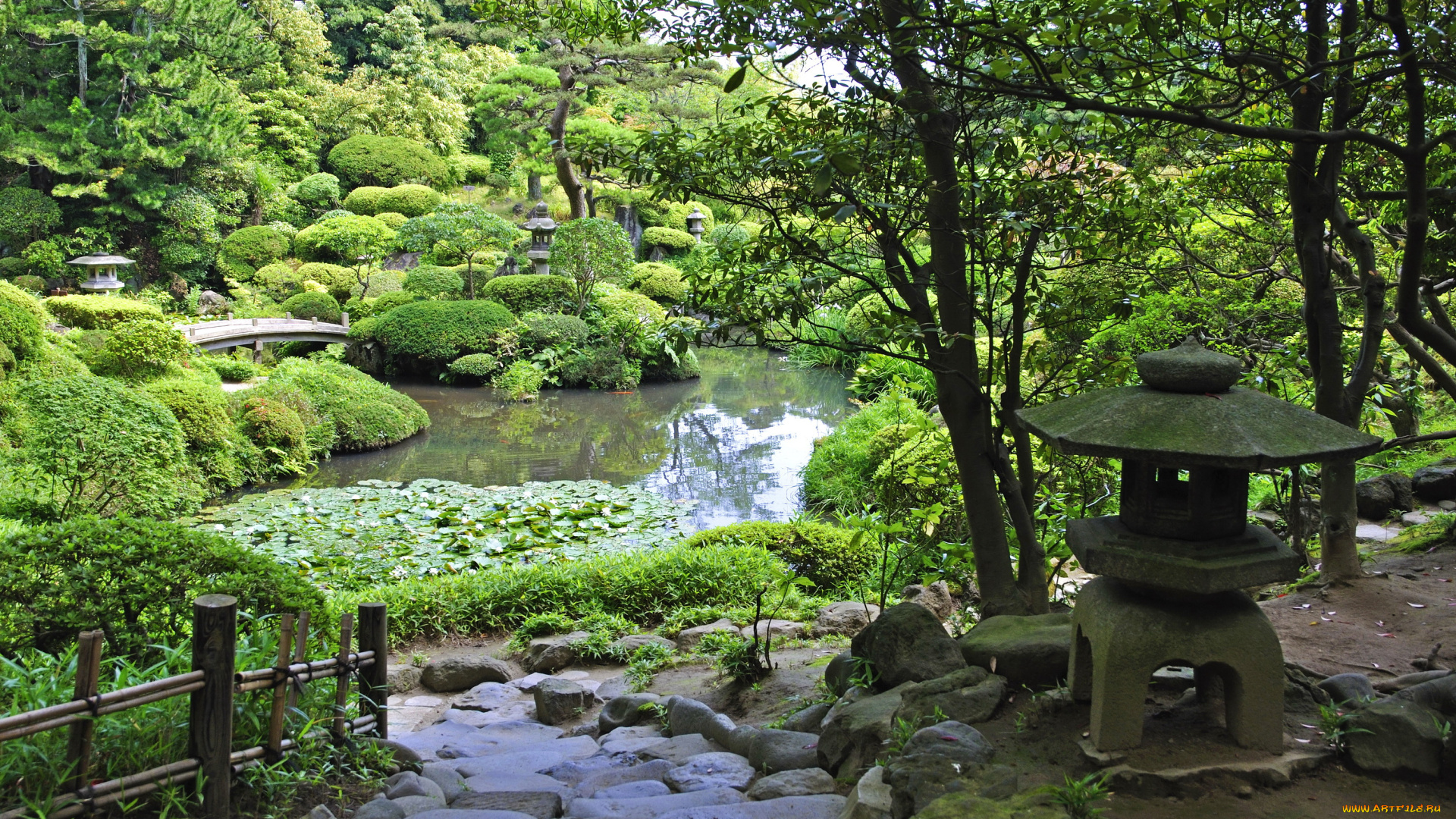 природа, парк, деревья, кусты, пруд, сад