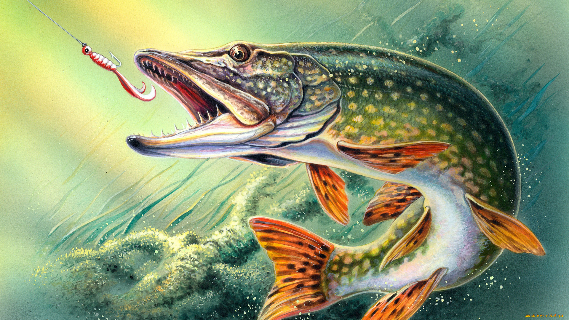 рисованное, животные, щука, блесна, рыба, рыбная, ловля