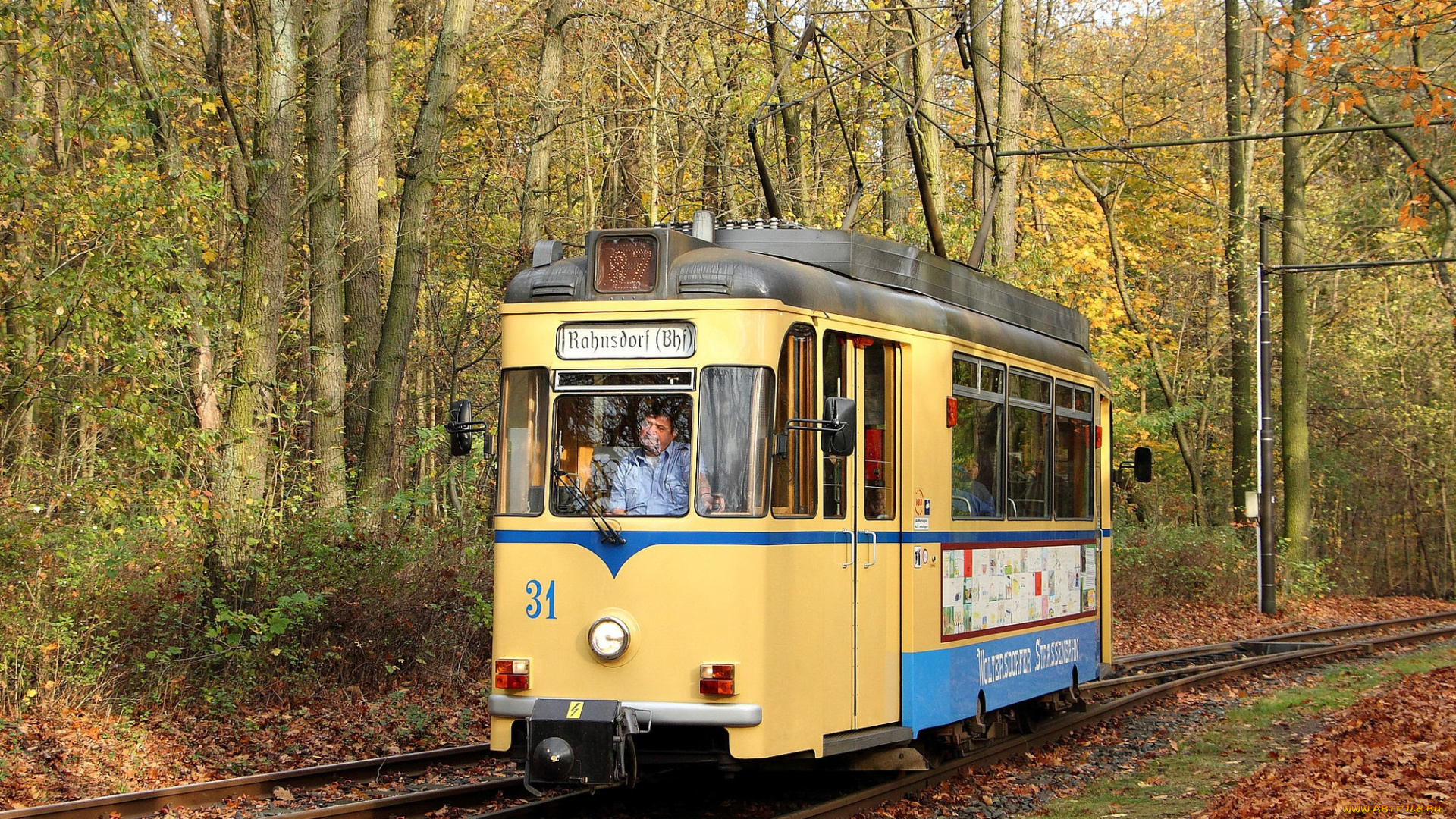 техника, трамваи, трамвай, рельсы, транспорт