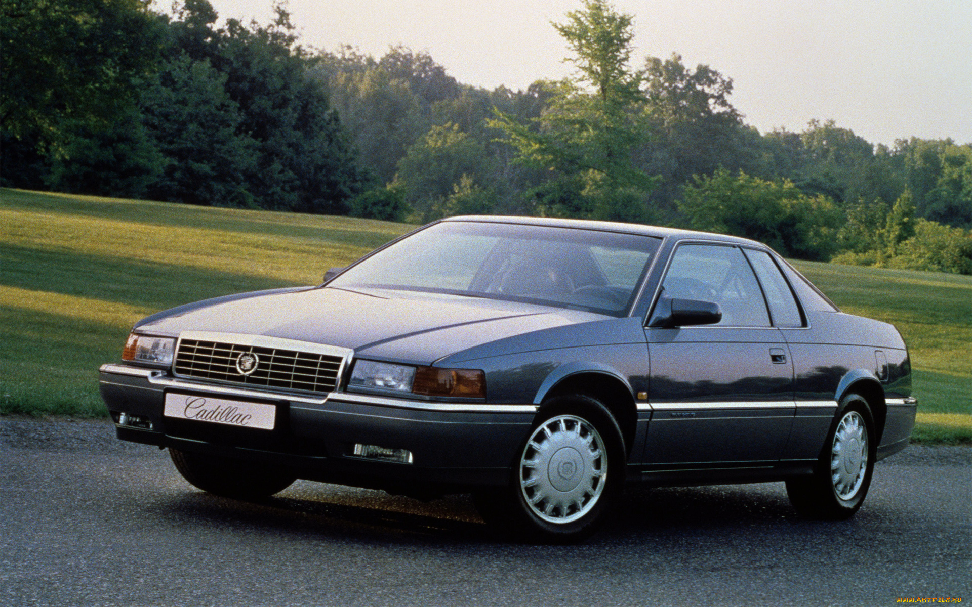 автомобили, cadillac