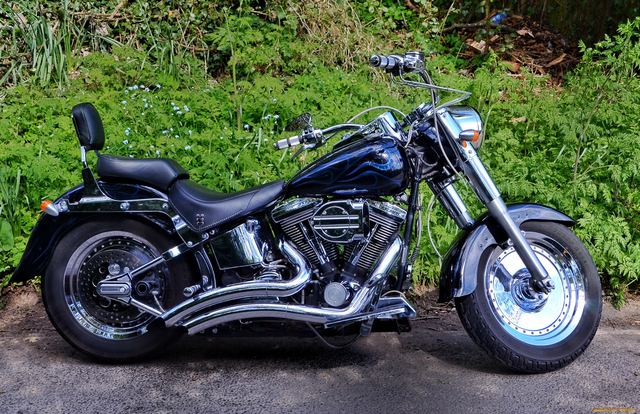 harley, мотоциклы, harley-davidson, байк