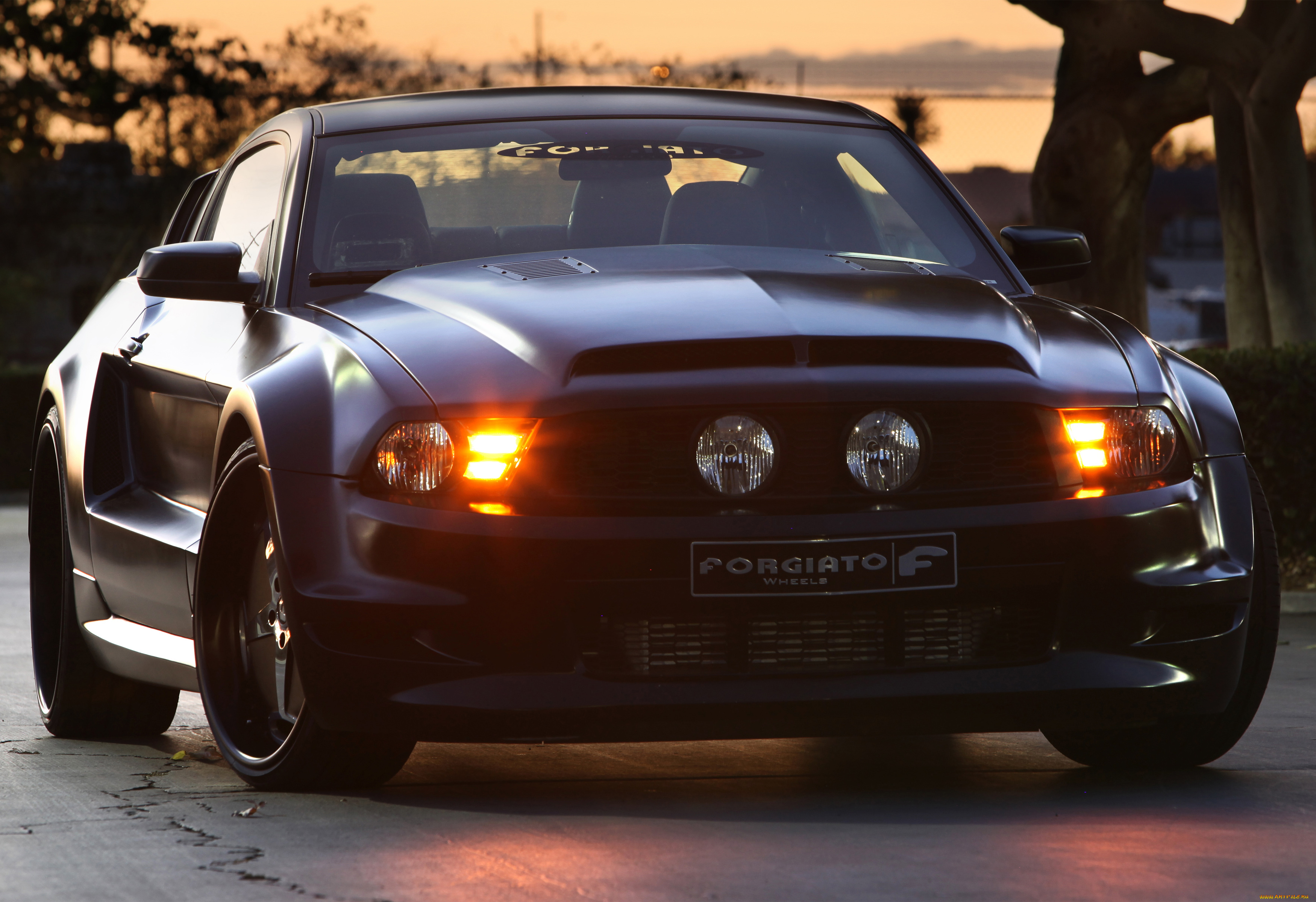 автомобили, mustang