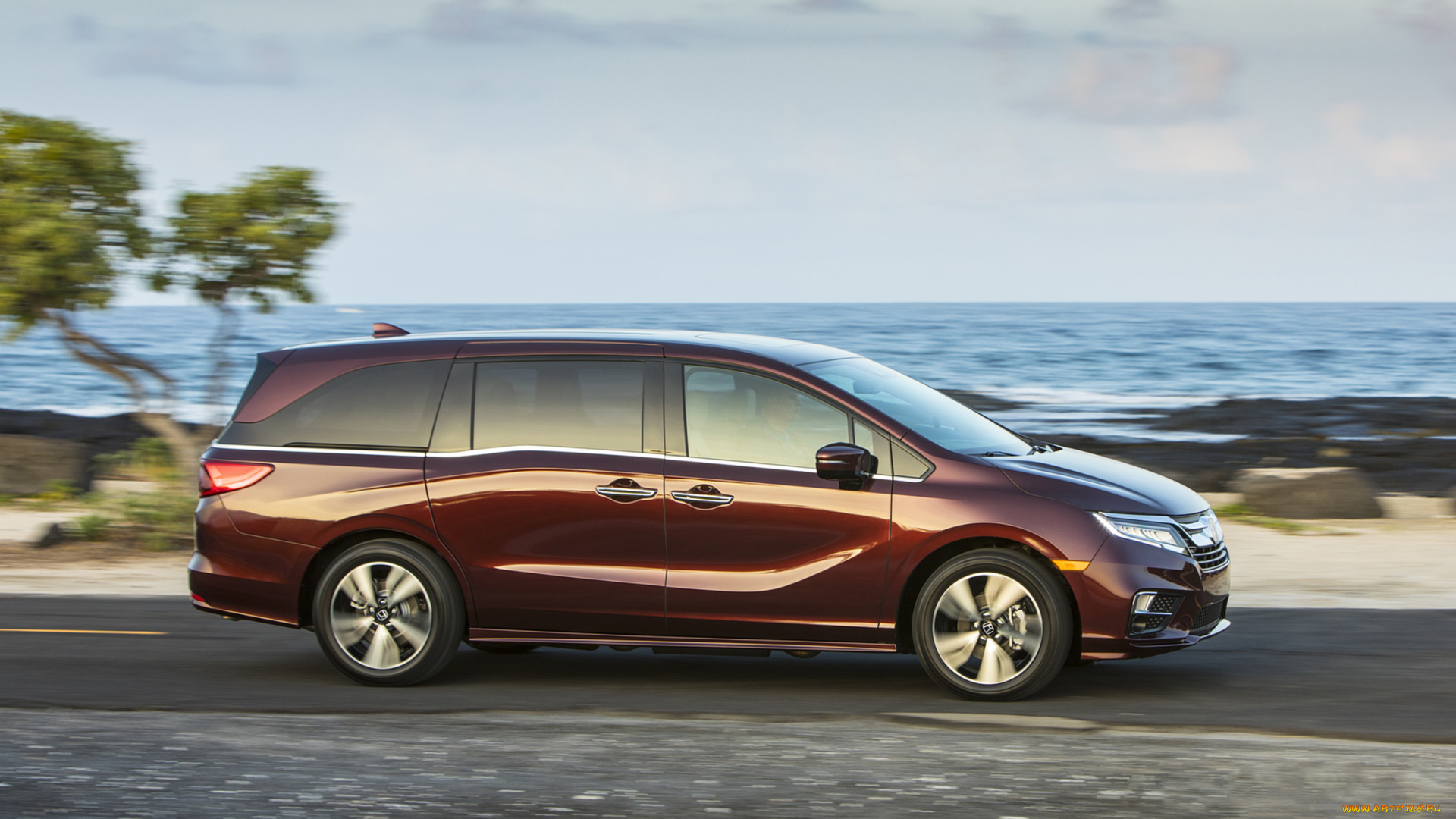 honda, odyssey, elite, 2018, автомобили, honda, elite, odyssey, 2018
