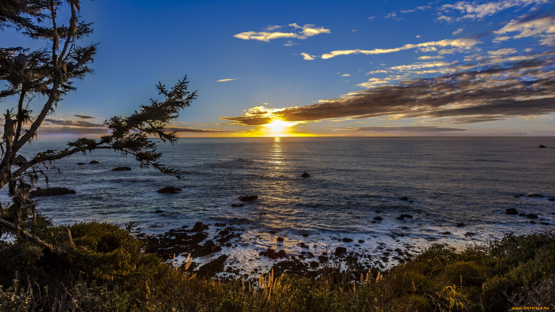 природа, побережье, берег, море