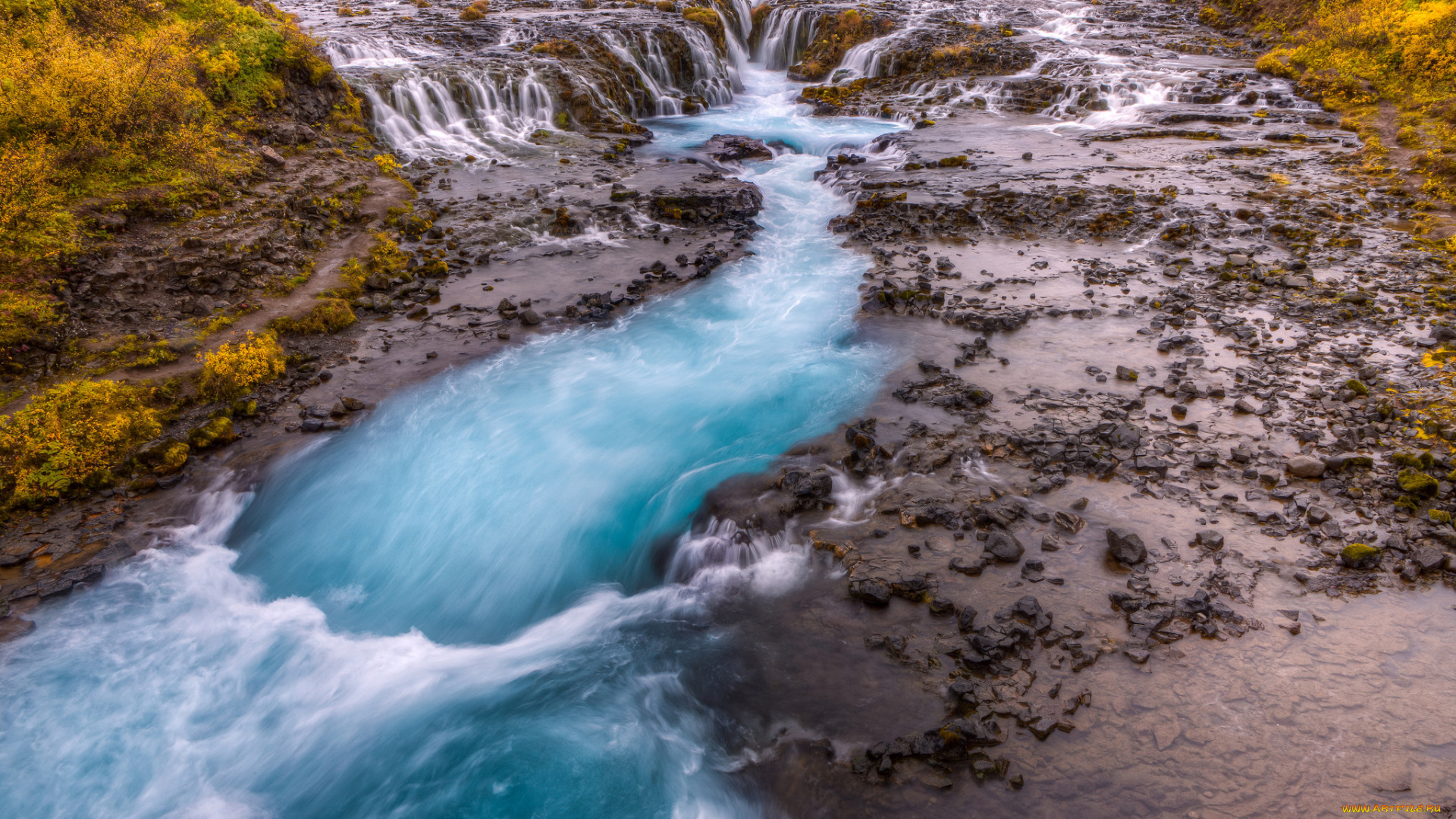 природа, реки, озера, лес, река