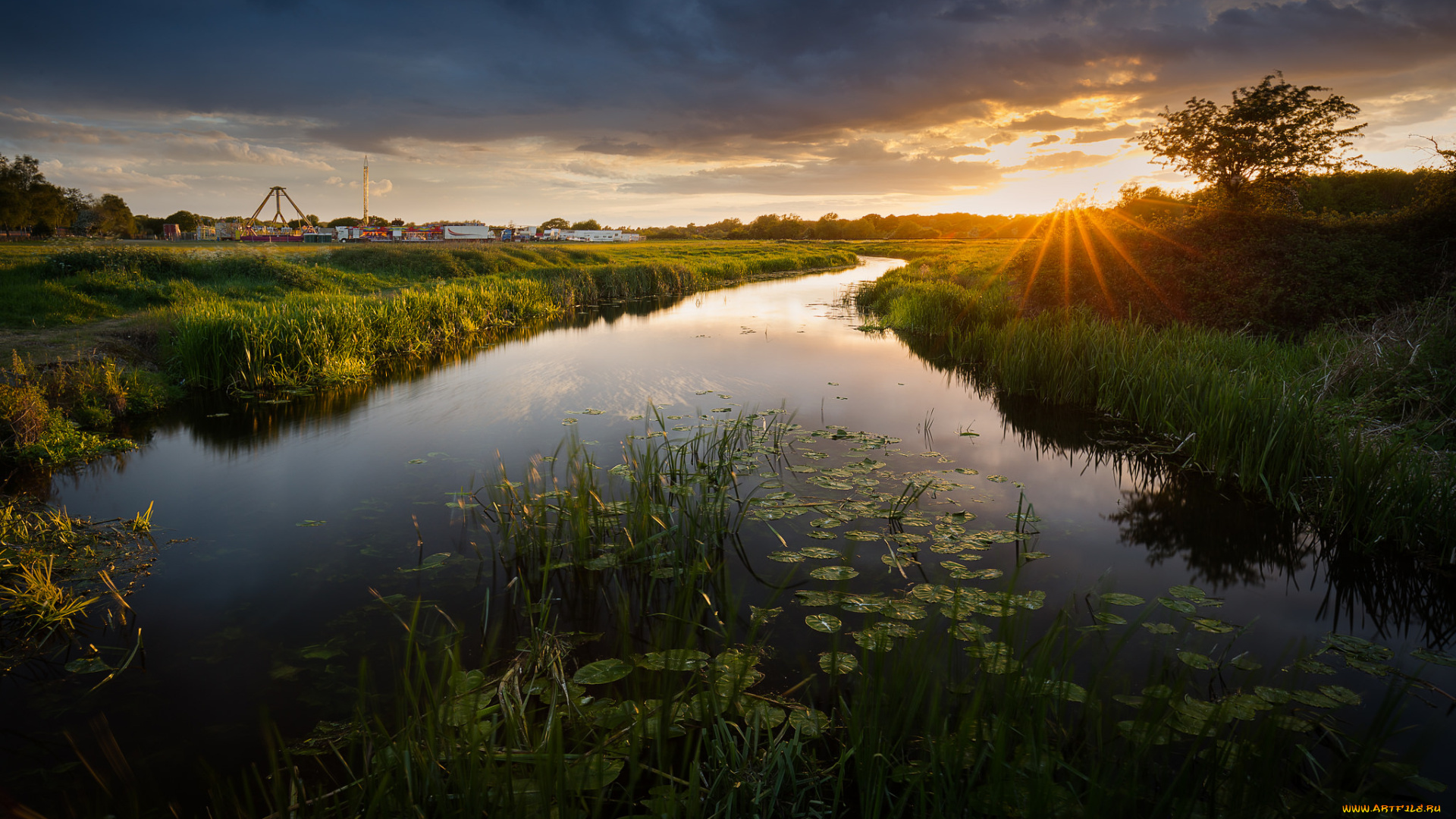 природа, реки, озера, река, лес
