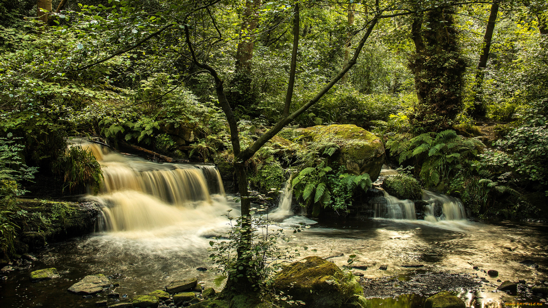 природа, водопады, водопад, река, лес