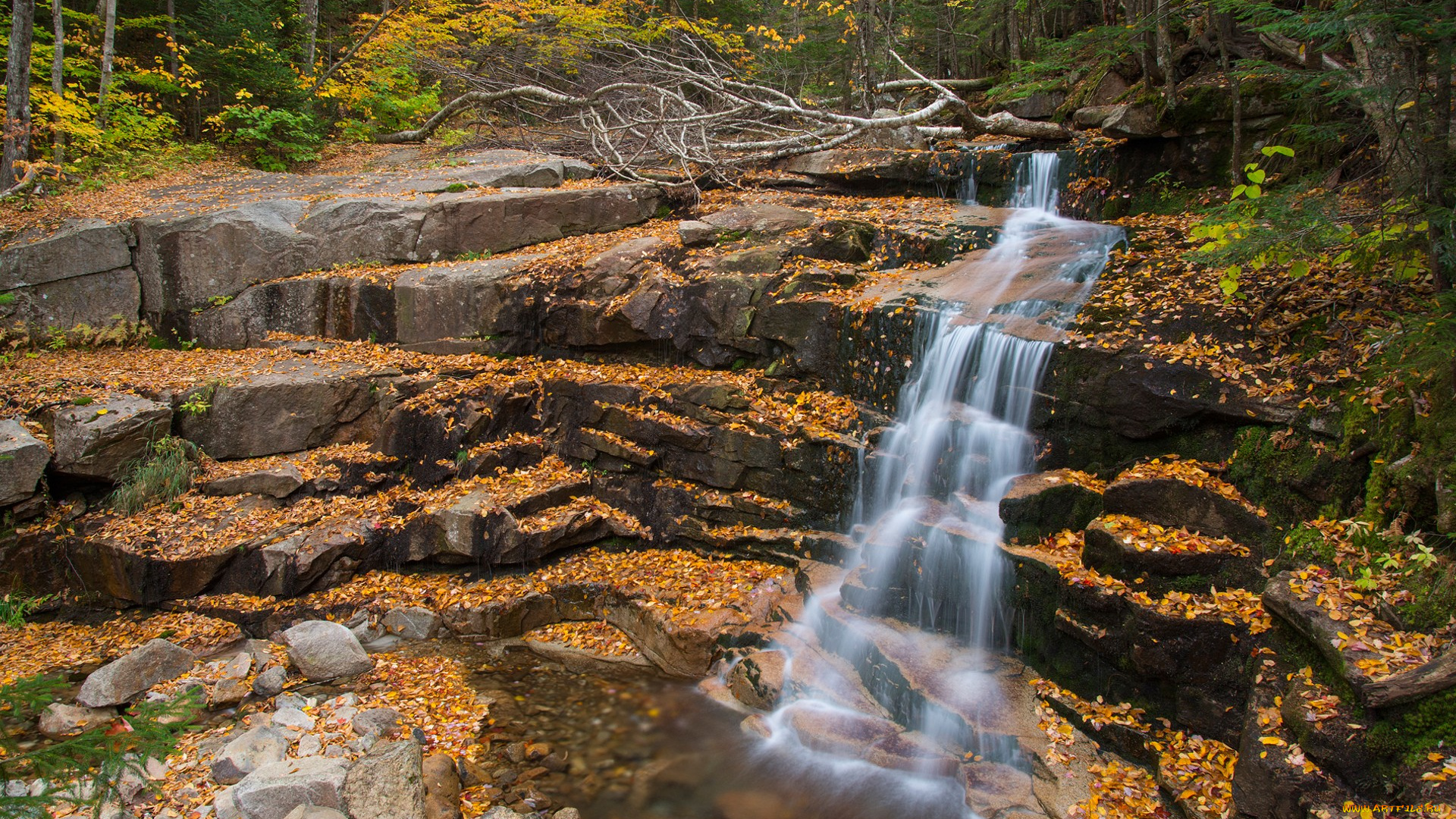 природа, водопады, водопад, река, лес