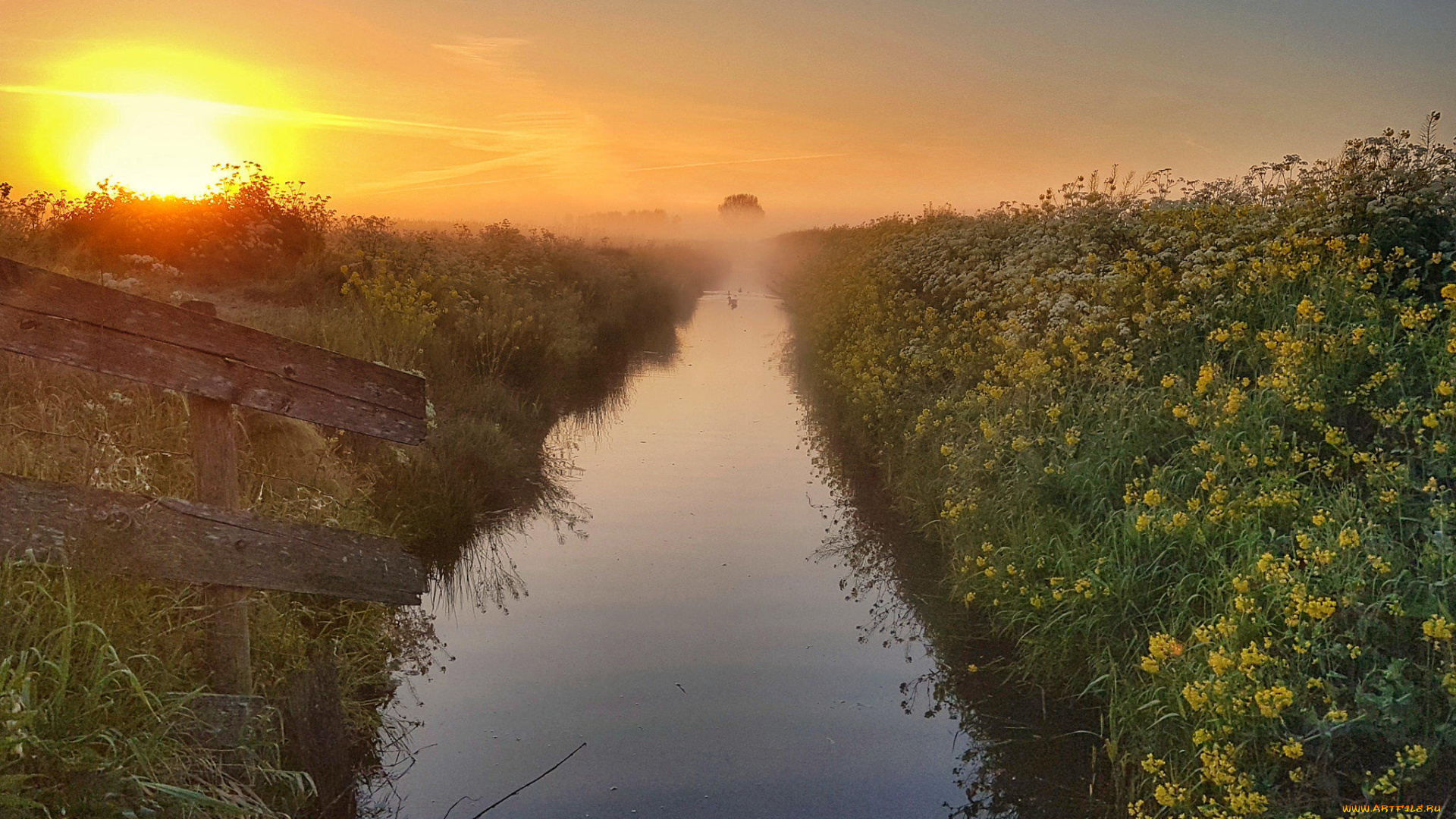 природа, восходы, закаты, туман, закат, цветы, водоём, канава
