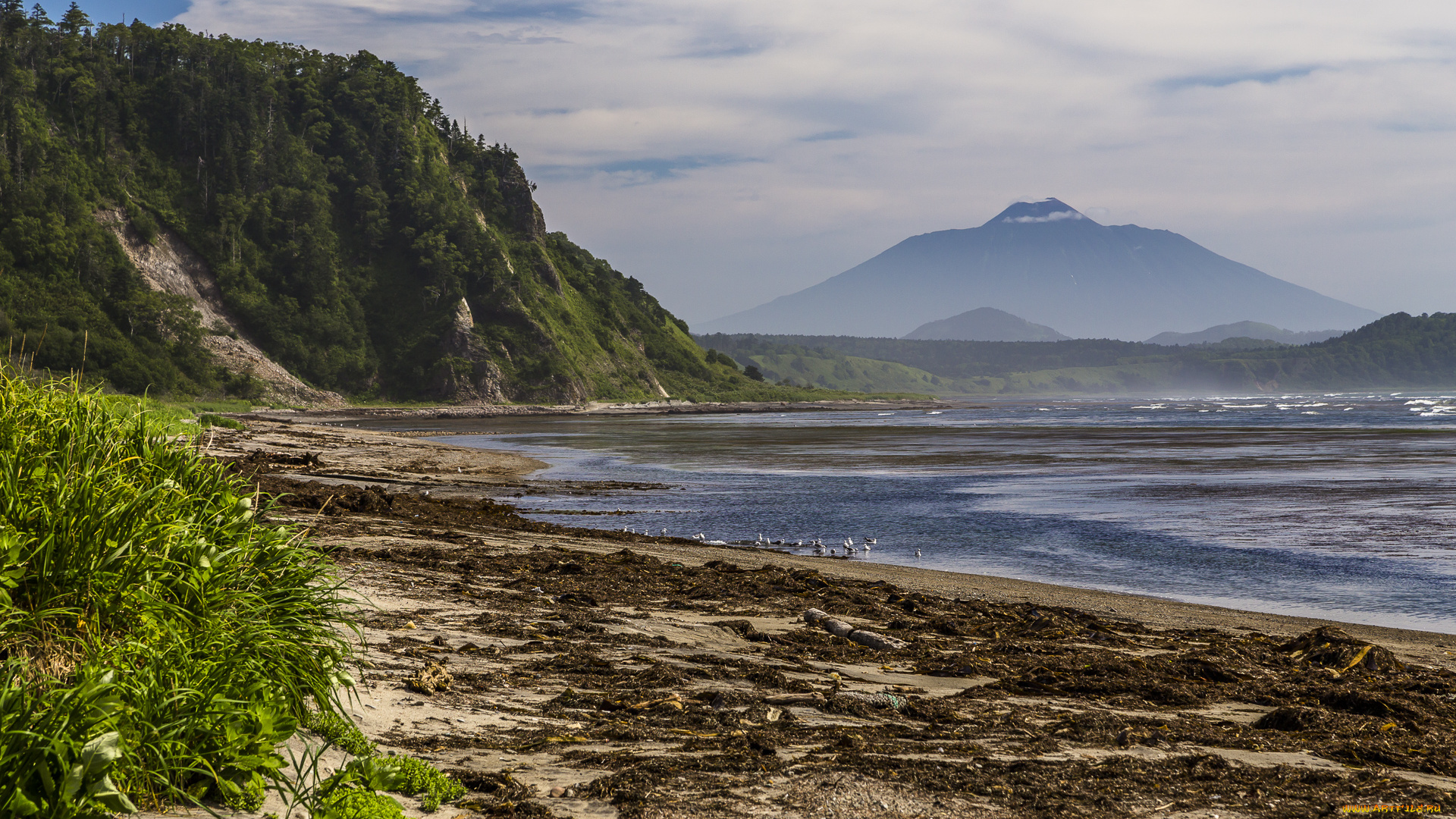 вулкан, тятя, природа, побережье, кунашир, вулкан, тятя, курилы
