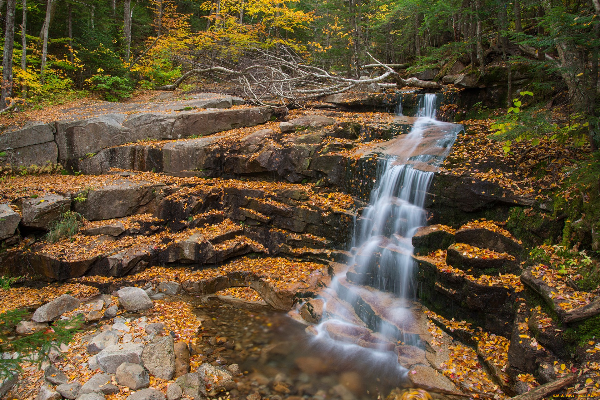 природа, водопады, водопад, река, лес