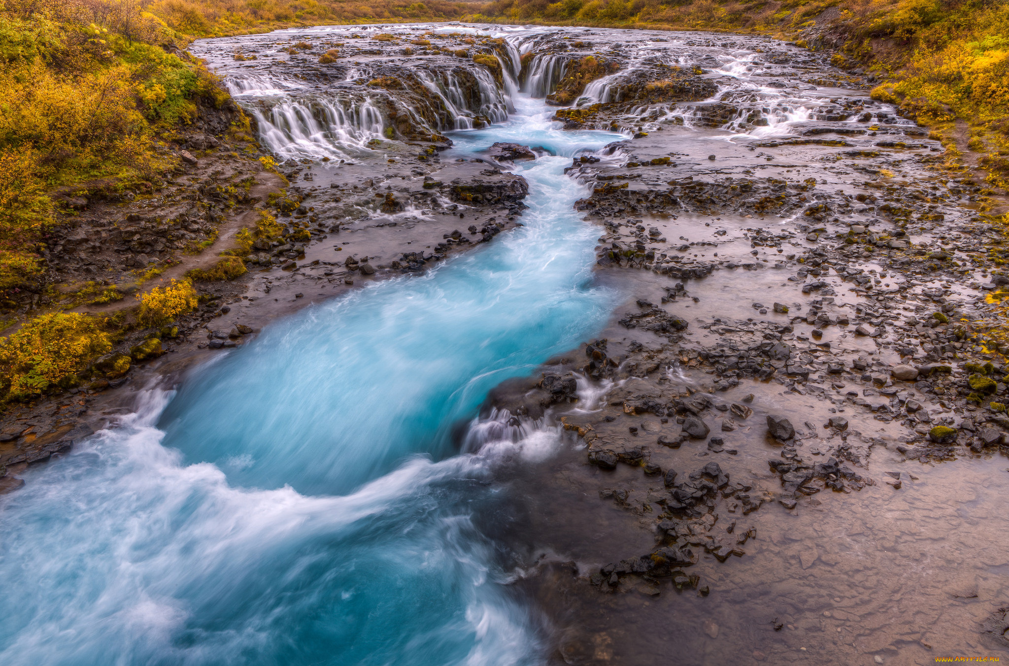 природа, реки, озера, лес, река