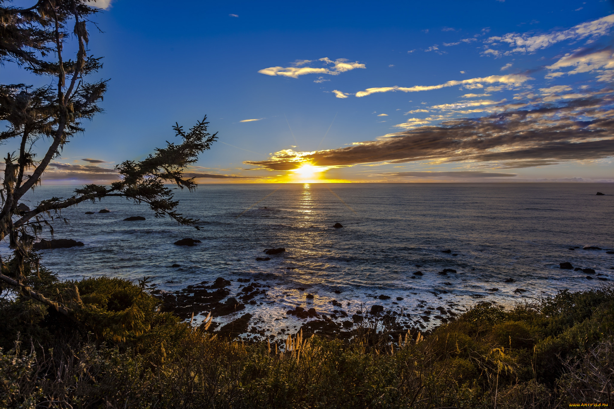 природа, побережье, берег, море