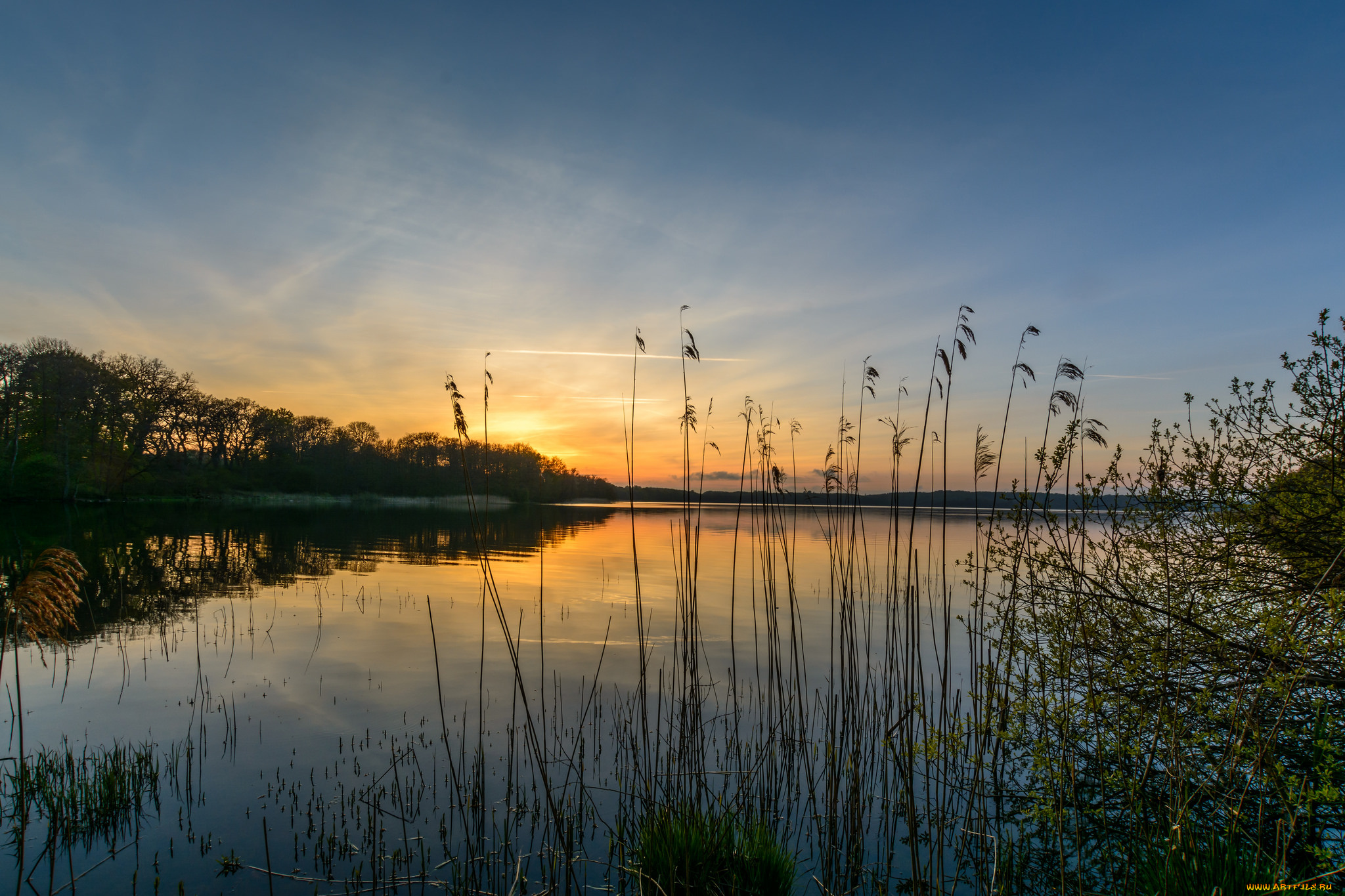 природа, реки, озера, река, лес