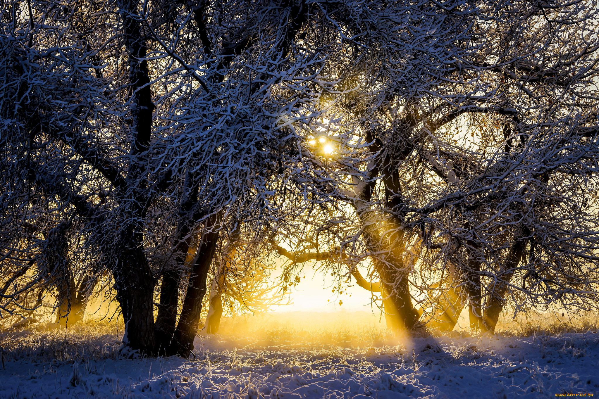 природа, восходы, закаты, рассвет