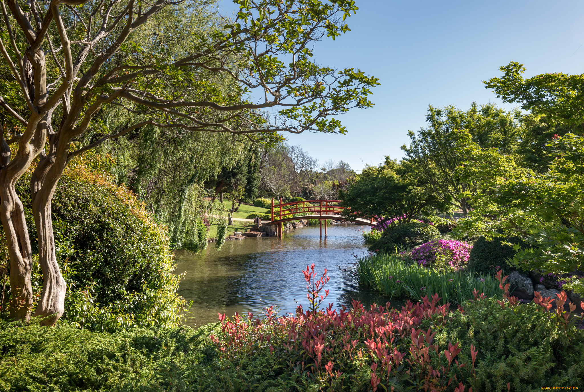 природа, парк, река, лес