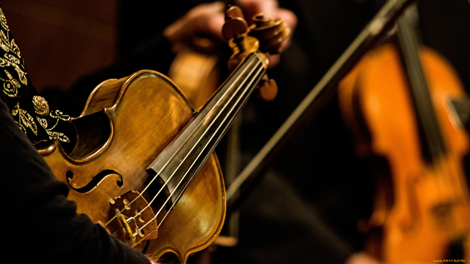 музыка, -музыкальные, инструменты, скрипка