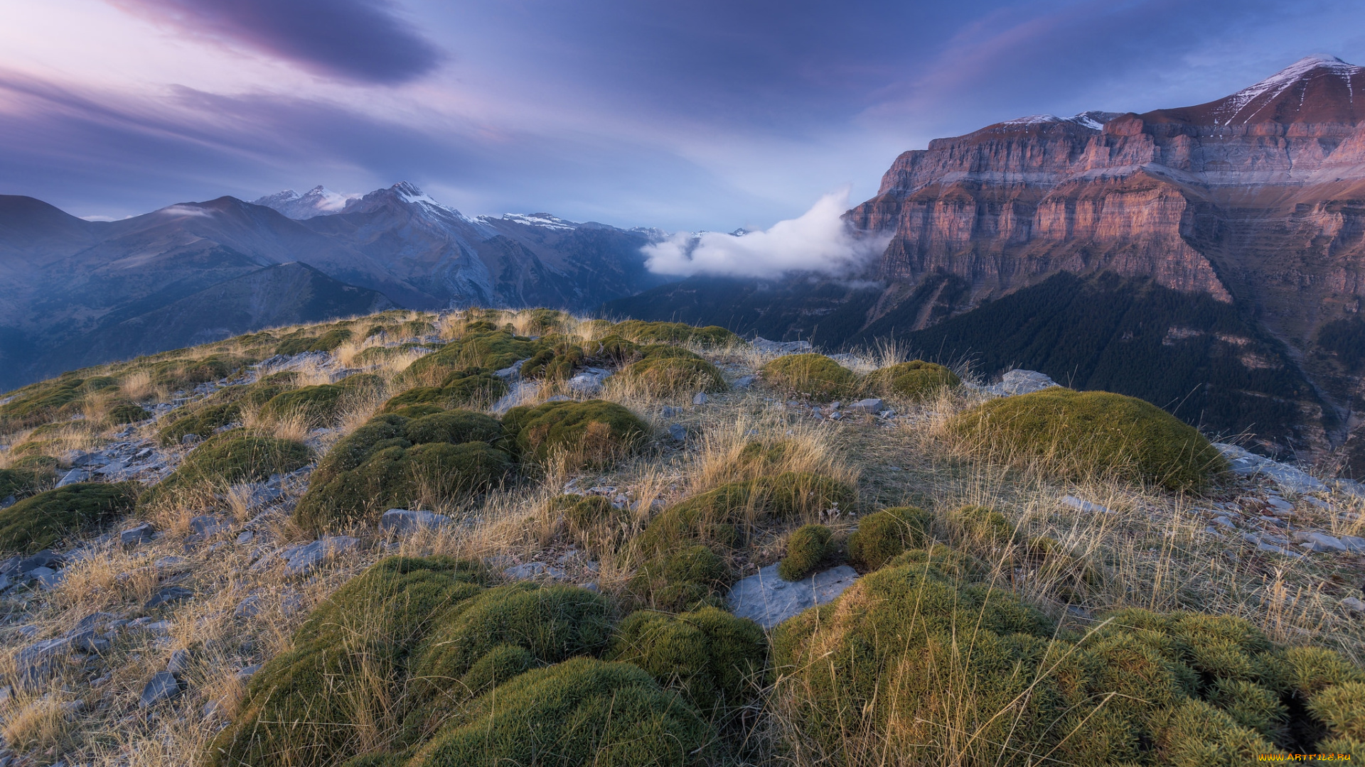 природа, горы, простор