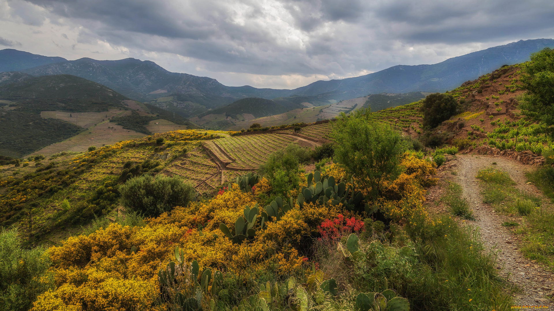 природа, пейзажи, простор