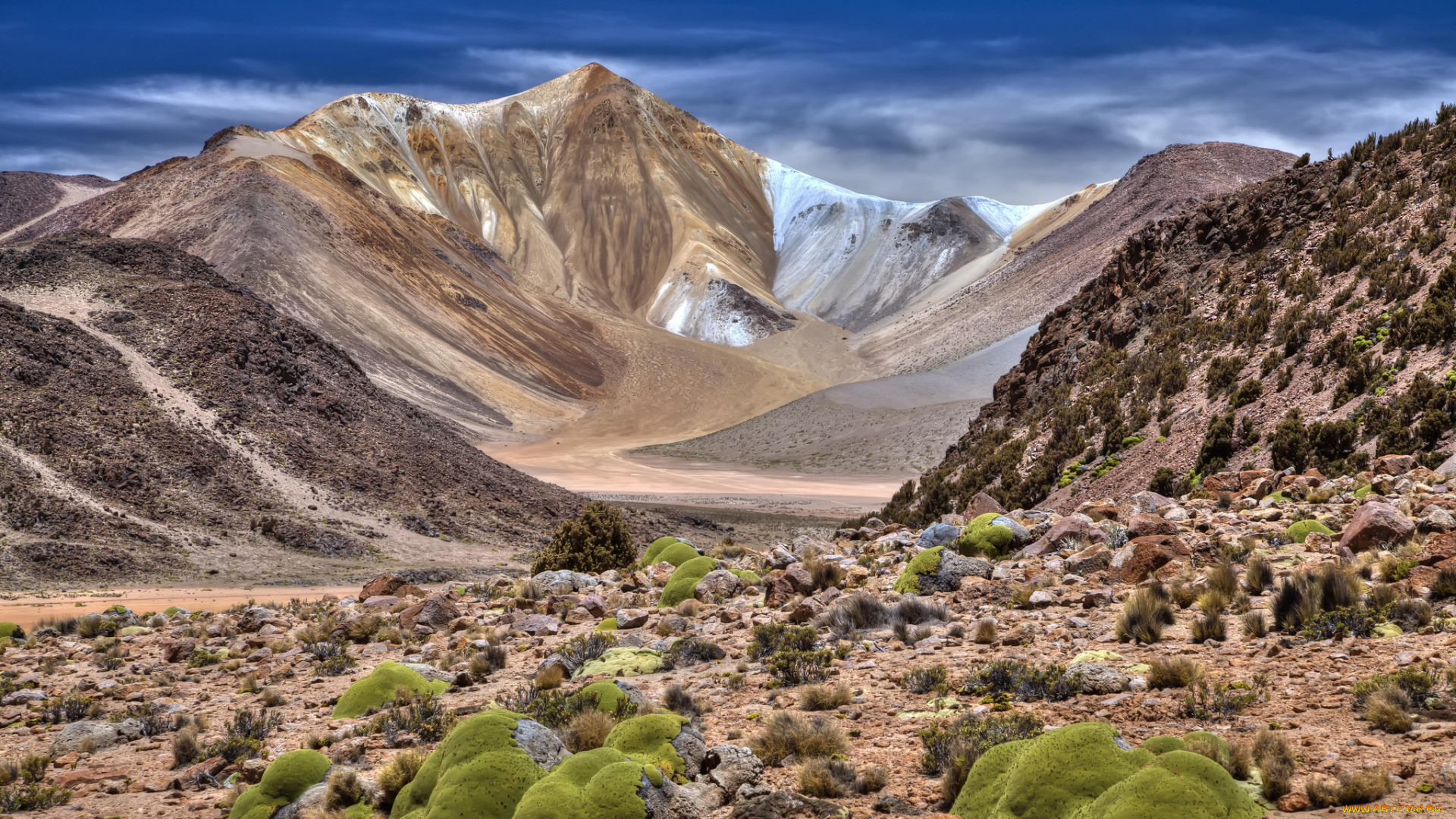 природа, пустыни, простор