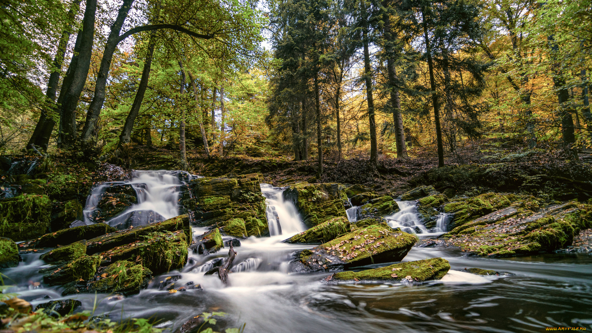 природа, реки, озера, простор